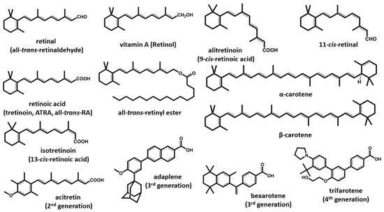 Stille overfladisk beskydning Nutrients | Free Full-Text | Vitamin A Update: Forms, Sources, Kinetics,  Detection, Function, Deficiency, Therapeutic Use and Toxicity