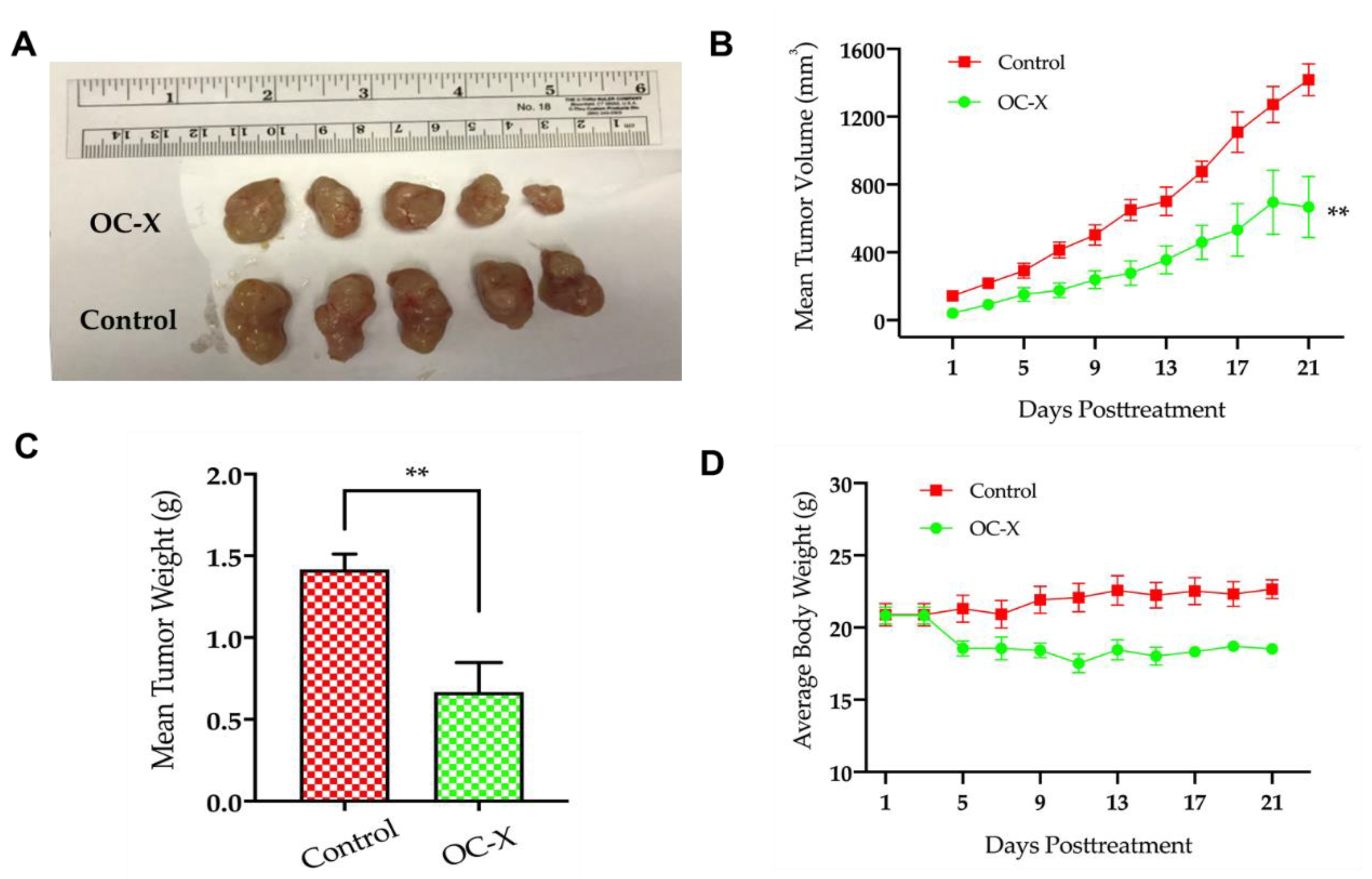 Nutrients 13 01706 g003