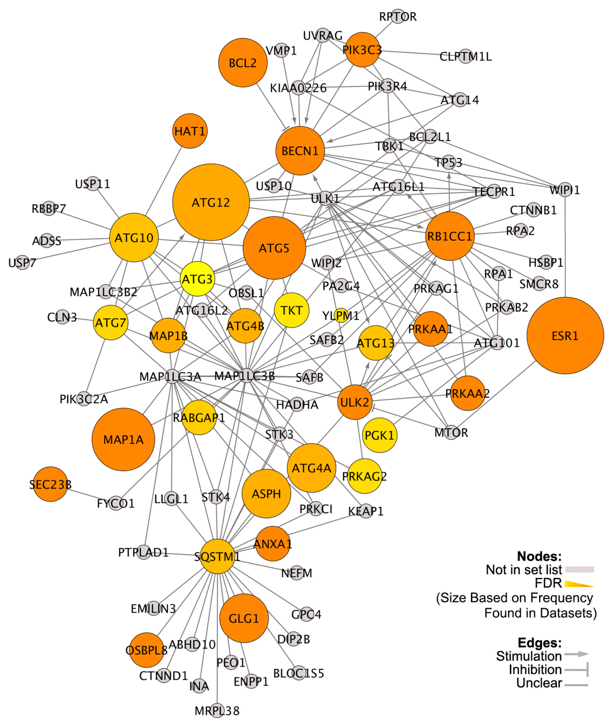 Nutrients 13 01715 g002 Nutrients 13 01715 g002