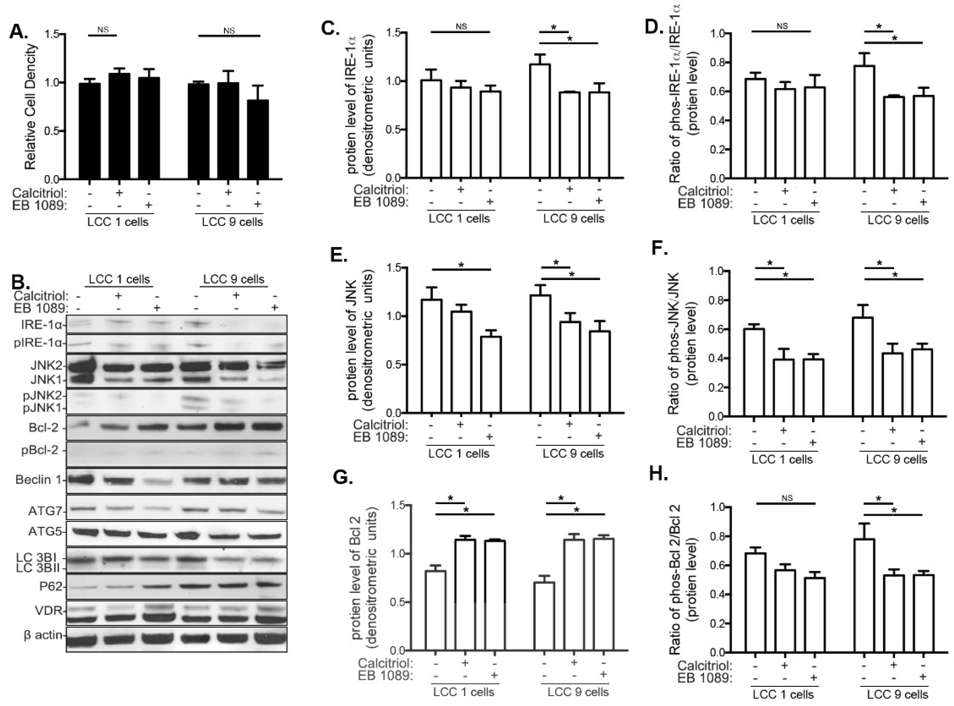 Nutrients 13 01715 g003 Nutrients 13 01715 g003