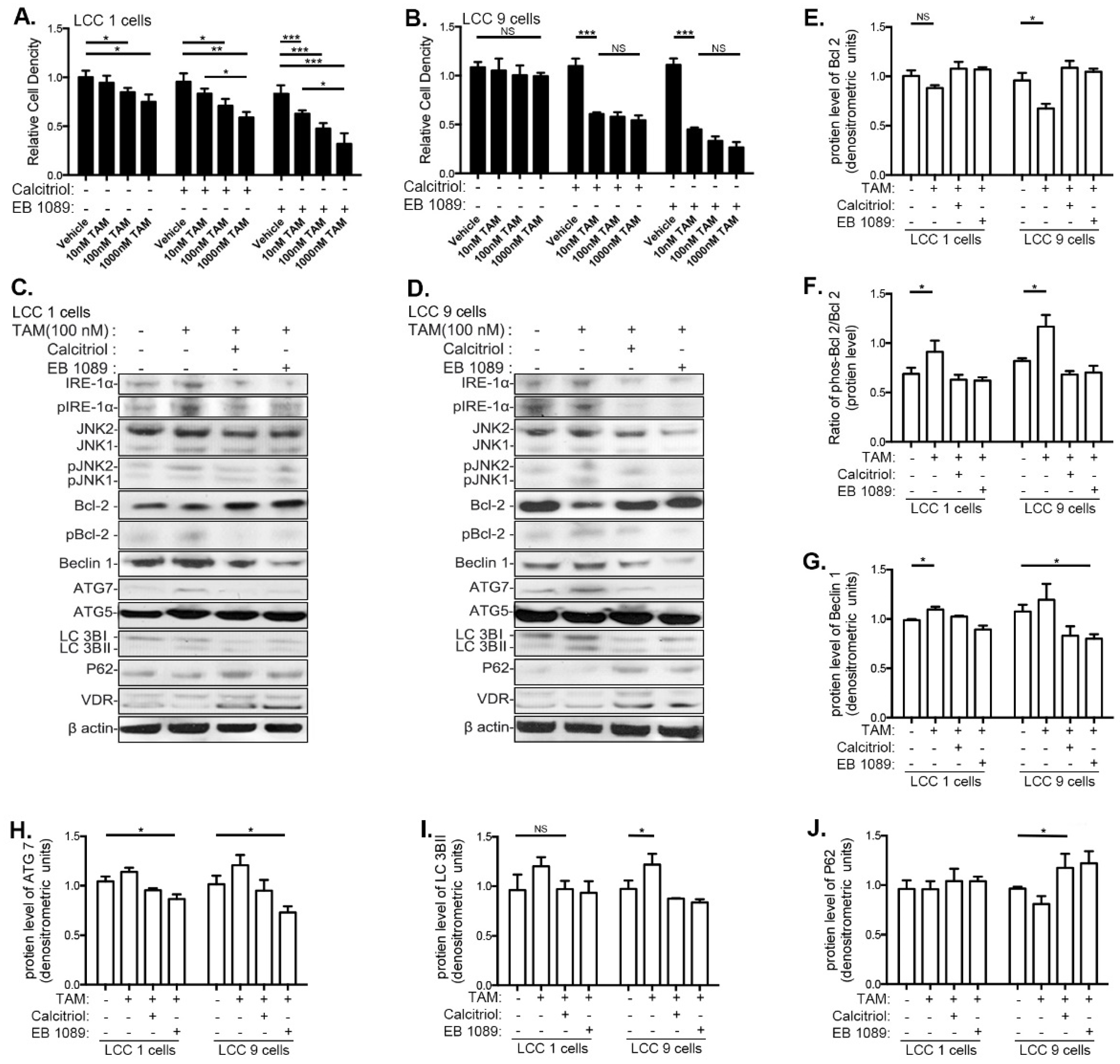 Nutrients 13 01715 g004 Nutrients 13 01715 g004
