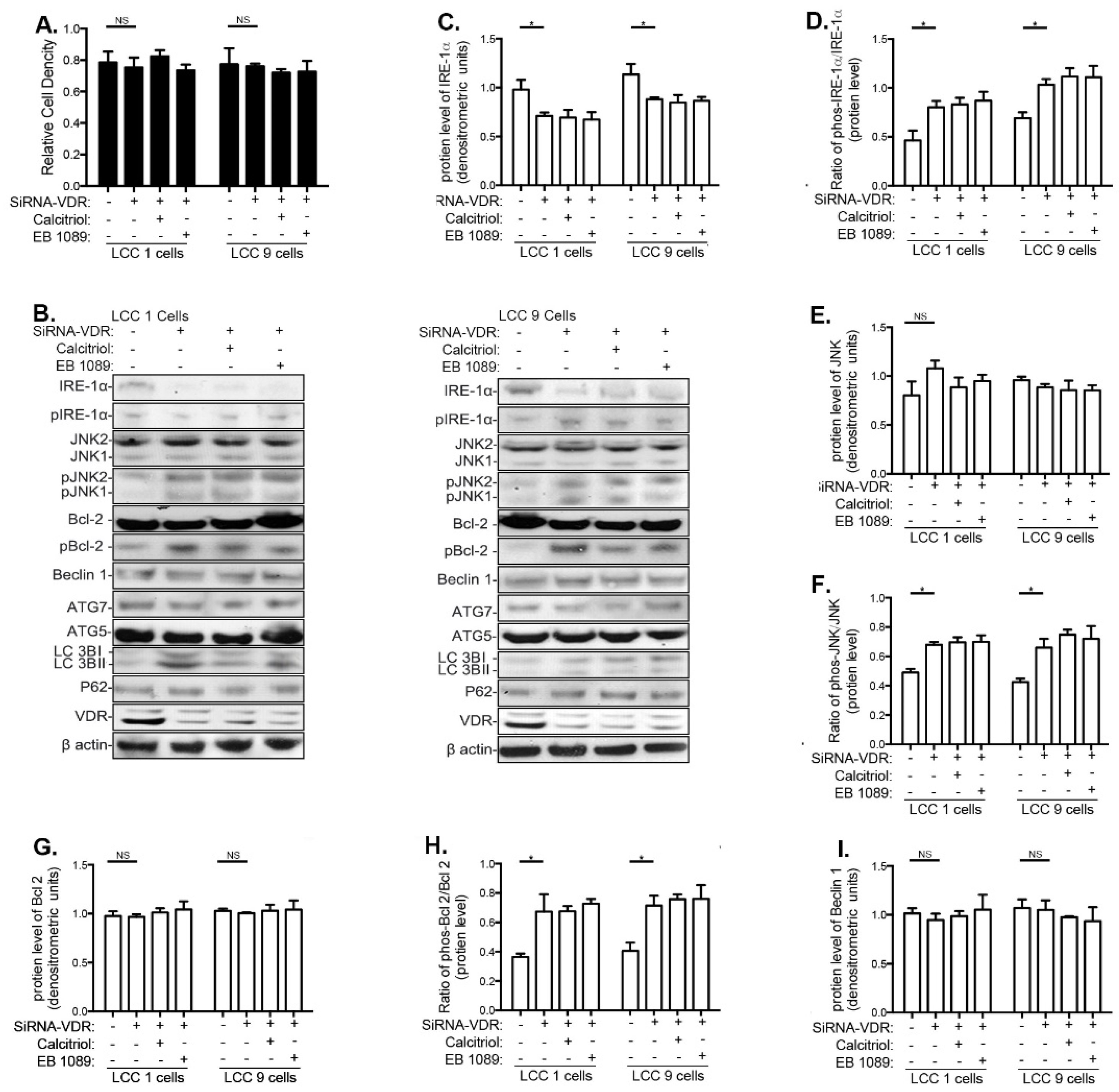Nutrients 13 01715 g005 Nutrients 13 01715 g005