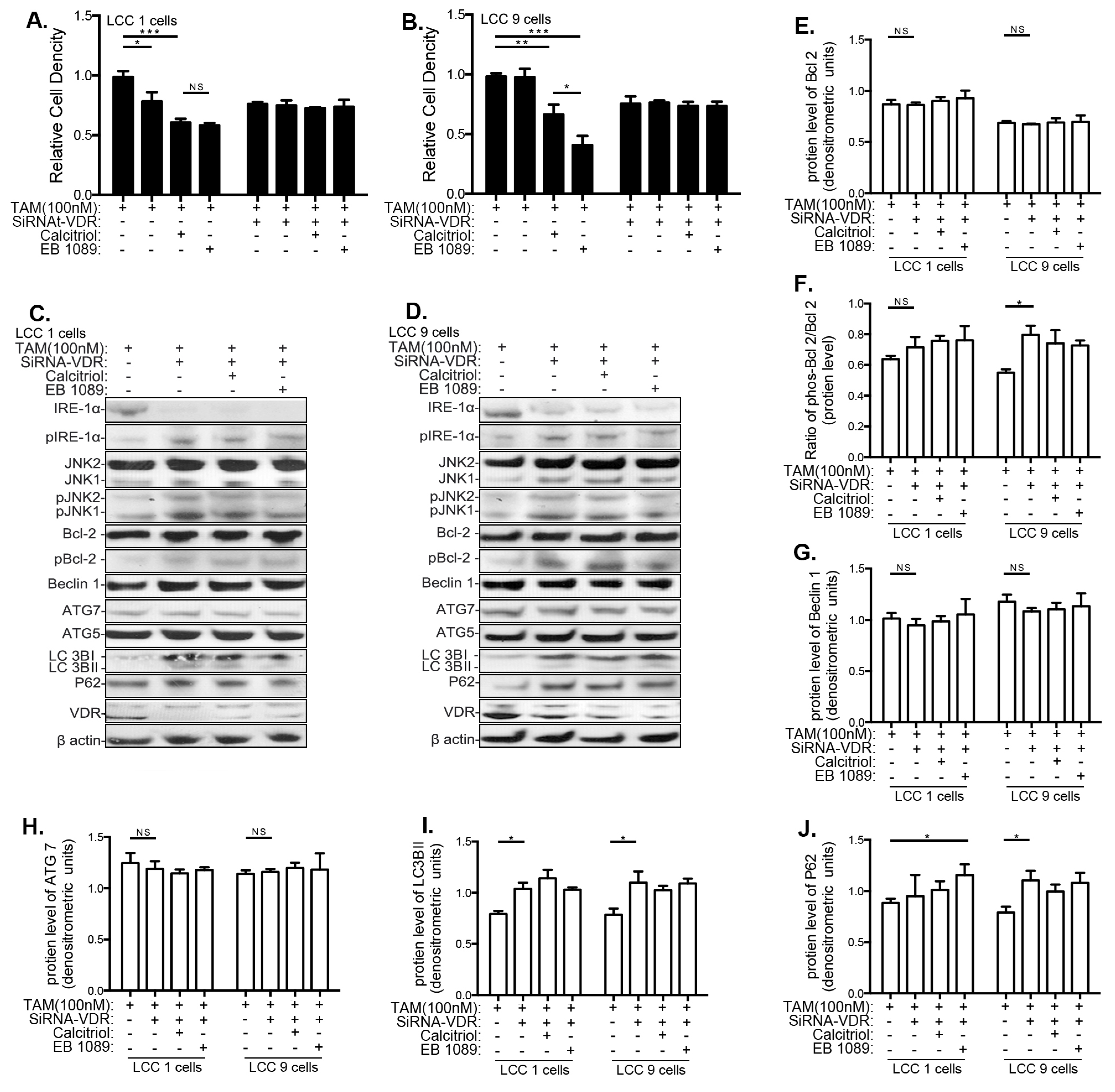 Nutrients 13 01715 g006 Nutrients 13 01715 g006