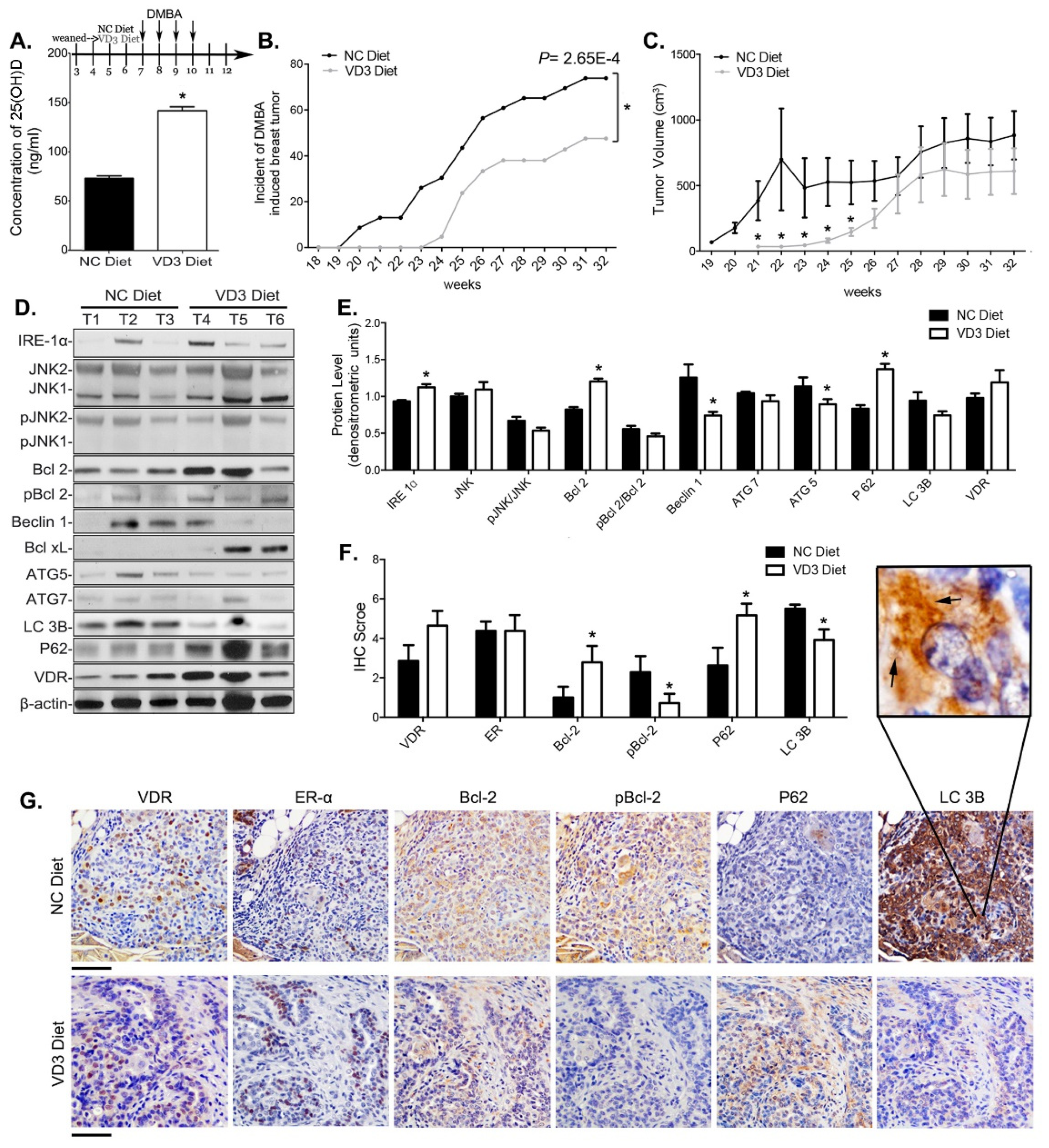 Nutrients 13 01715 g007 Nutrients 13 01715 g007