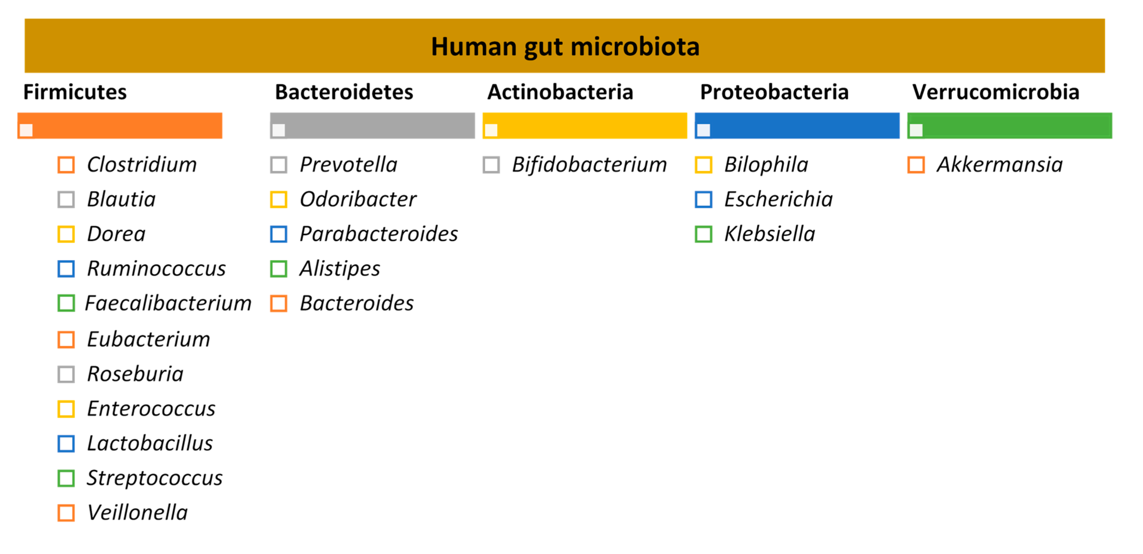 Nutrients 13 01716 g001