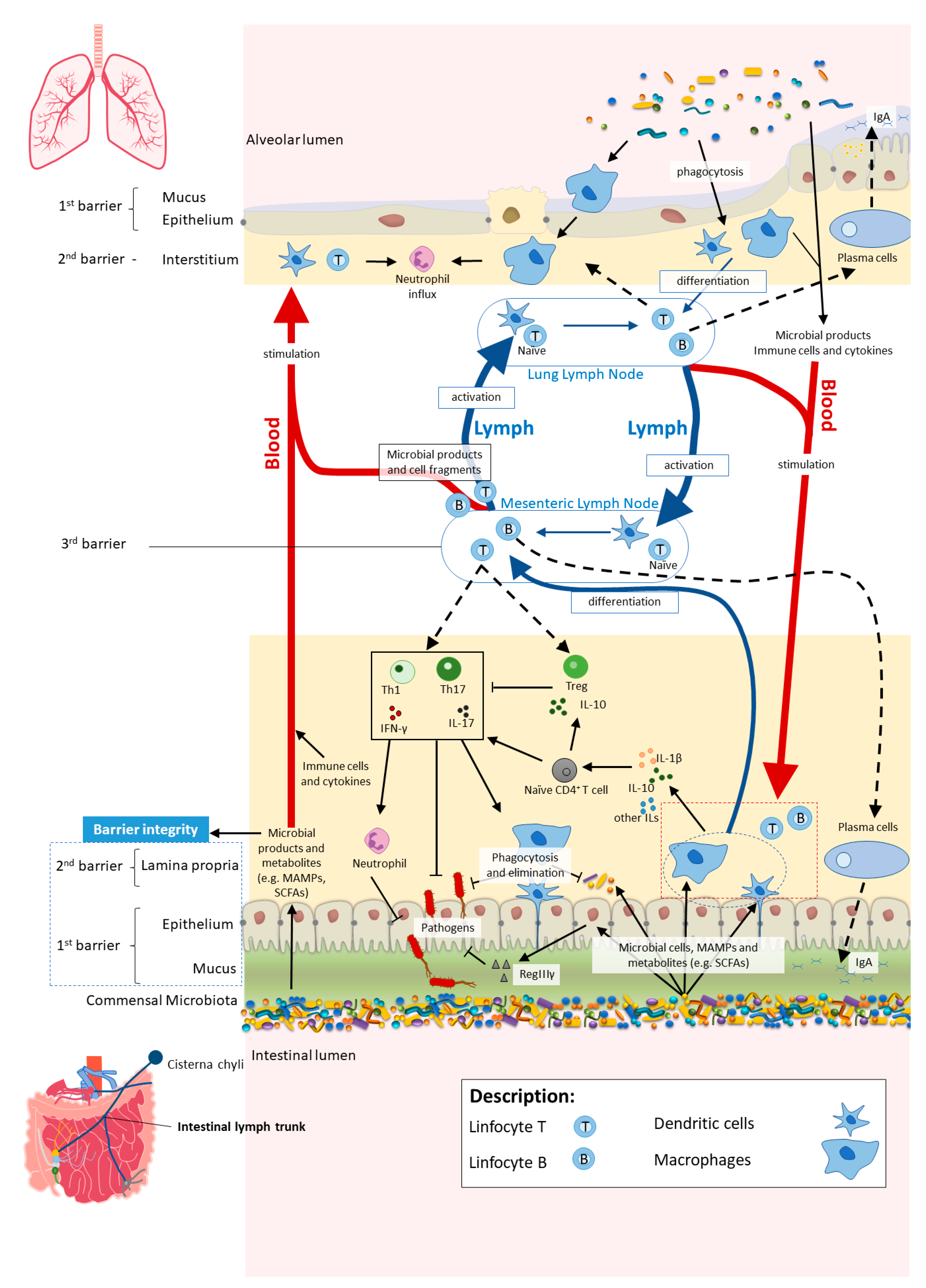 Nutrients 13 01716 g002