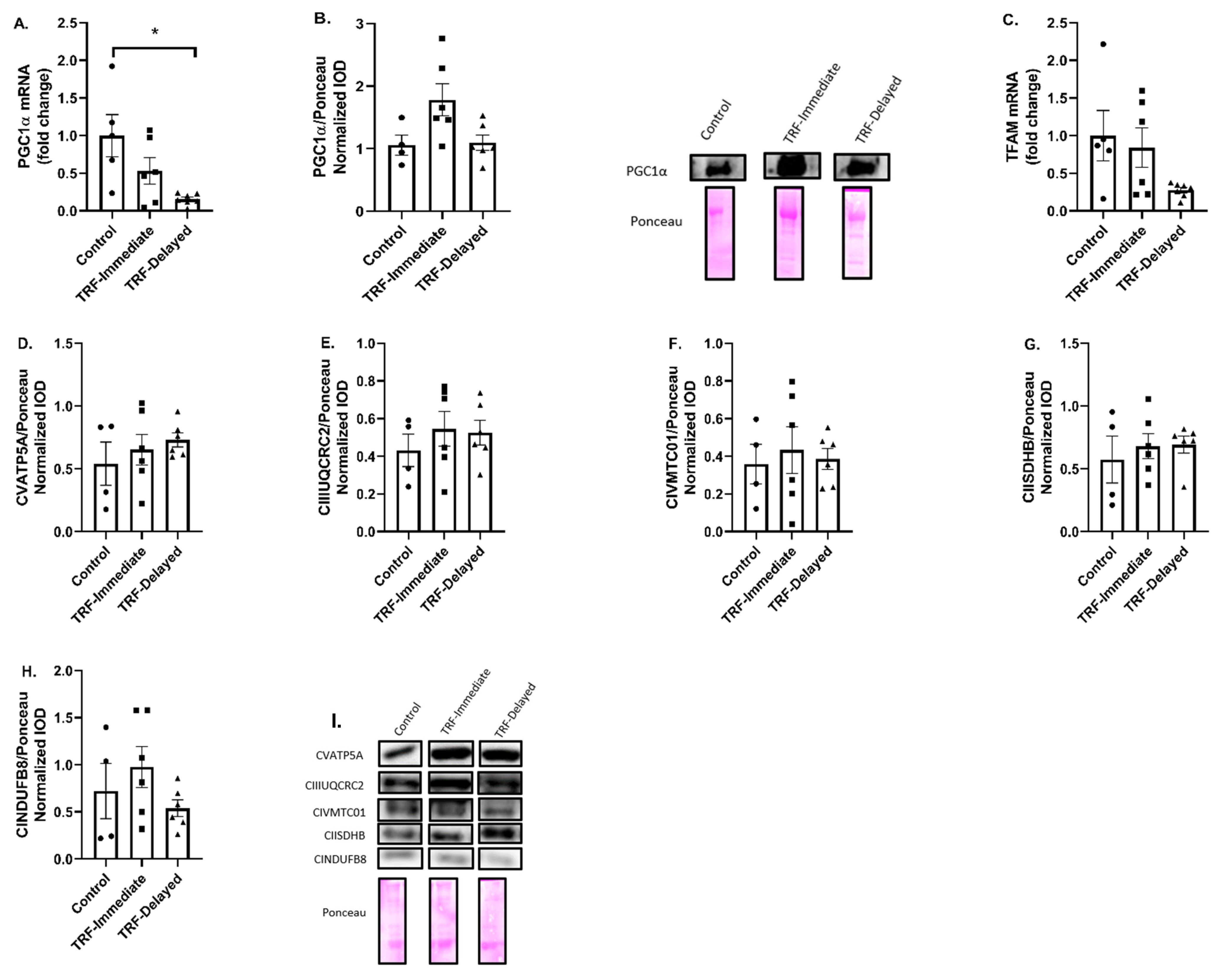 Nutrients 13 01717 g005