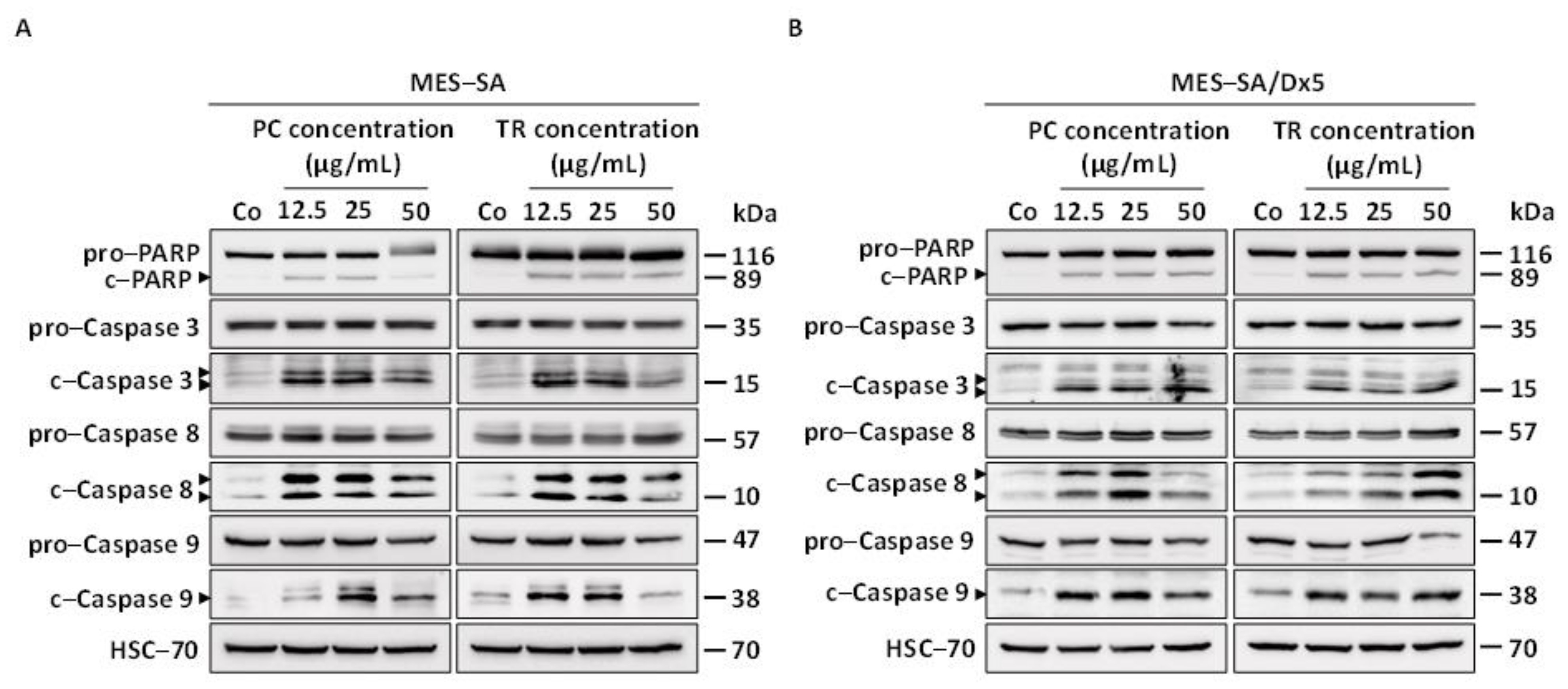 Nutrients 13 01719 g007