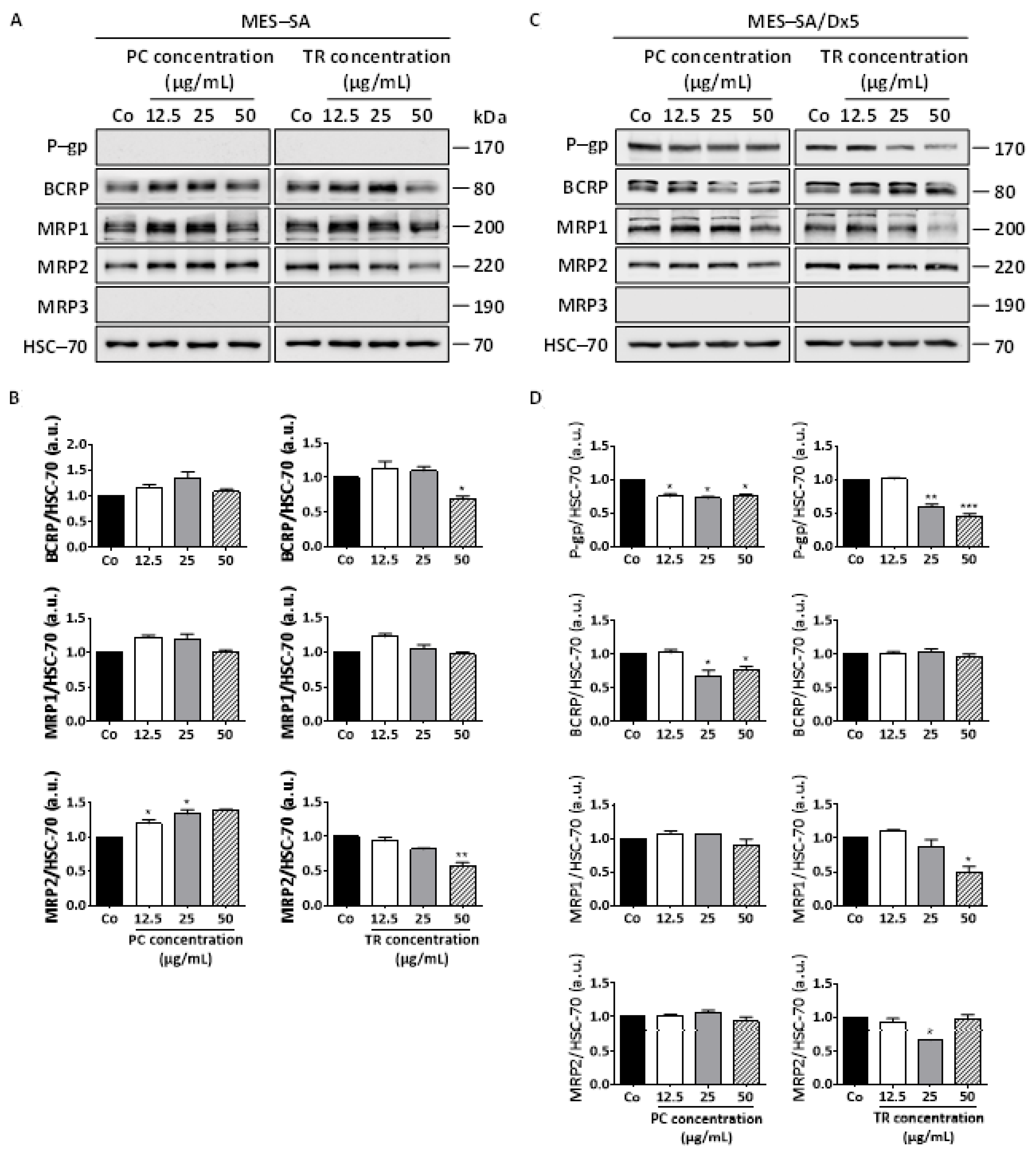 Nutrients 13 01719 g010