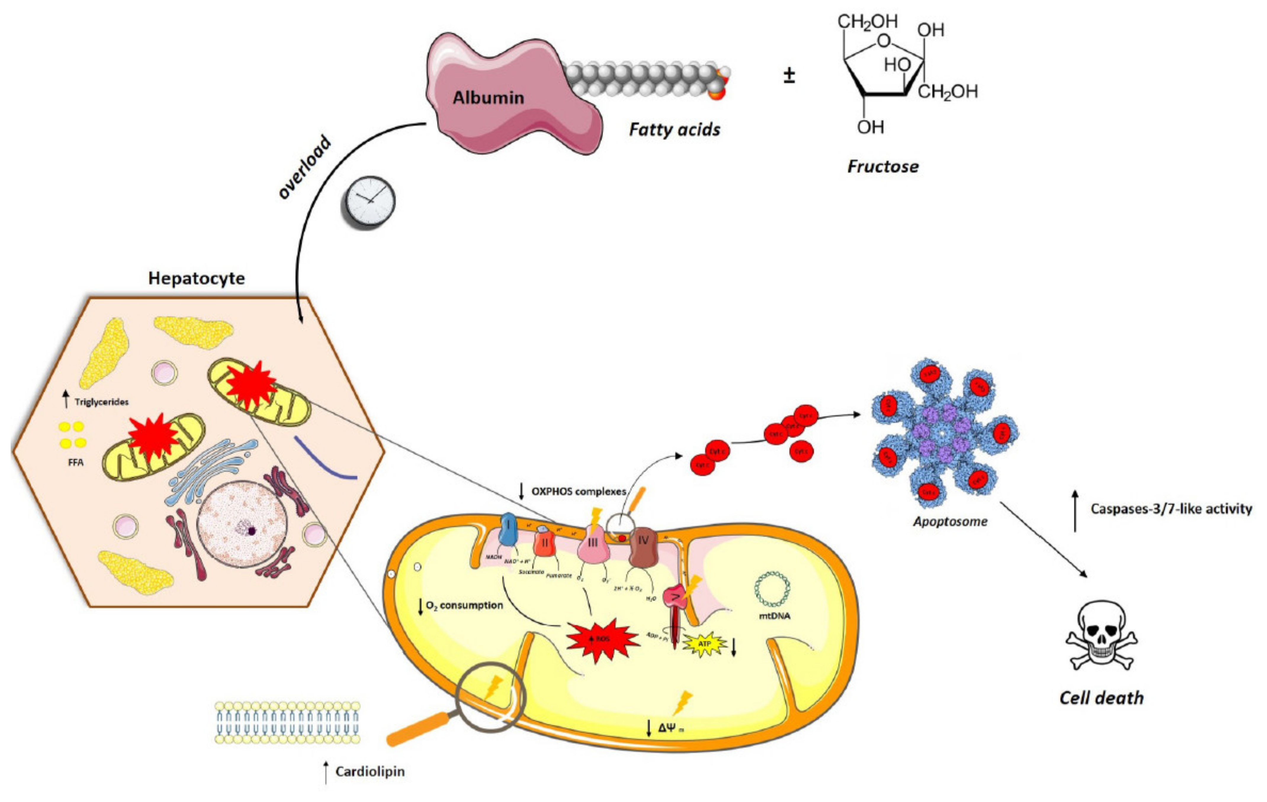 Nutrients 13 01723 g008 550