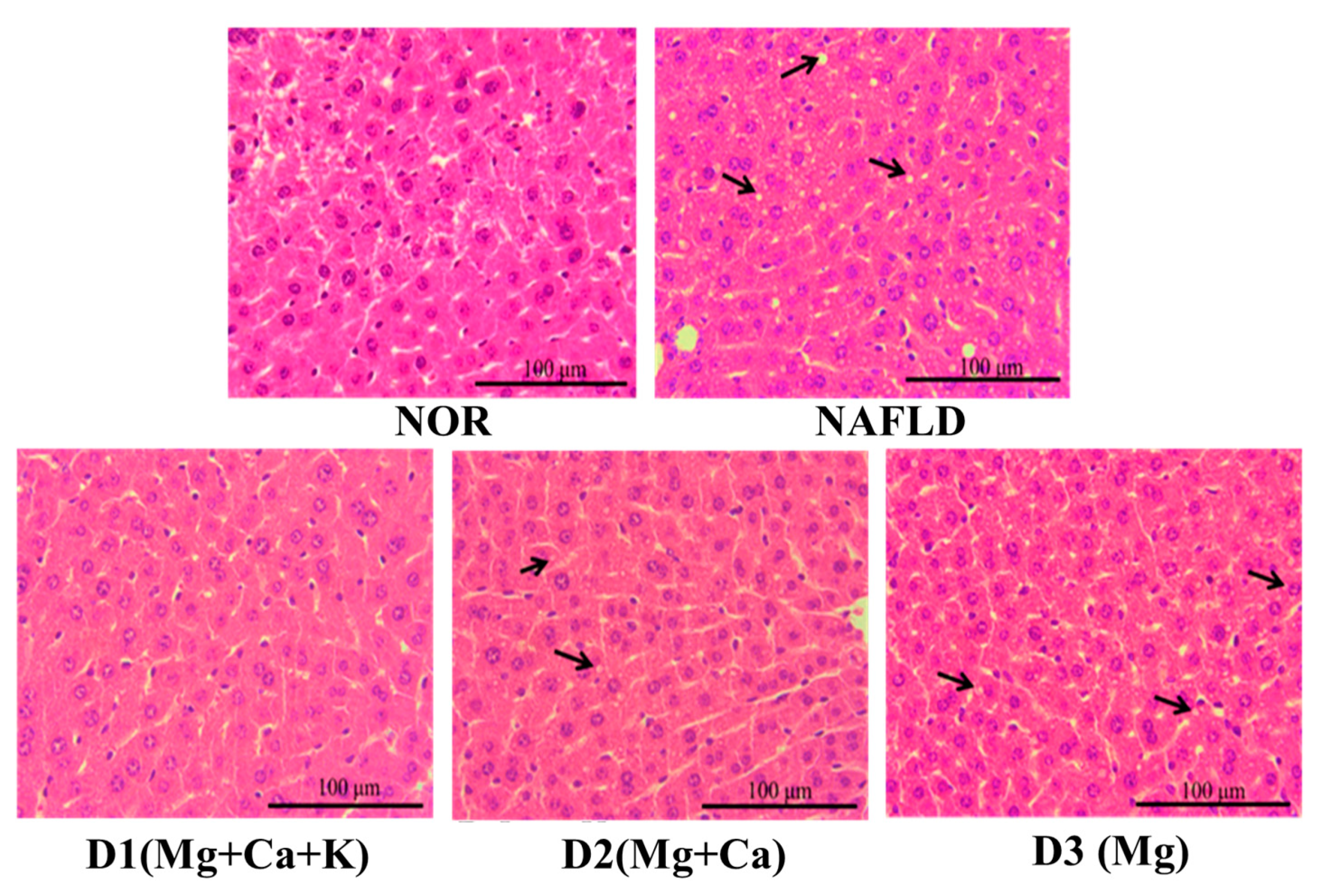 Nutrients 13 01732 g003