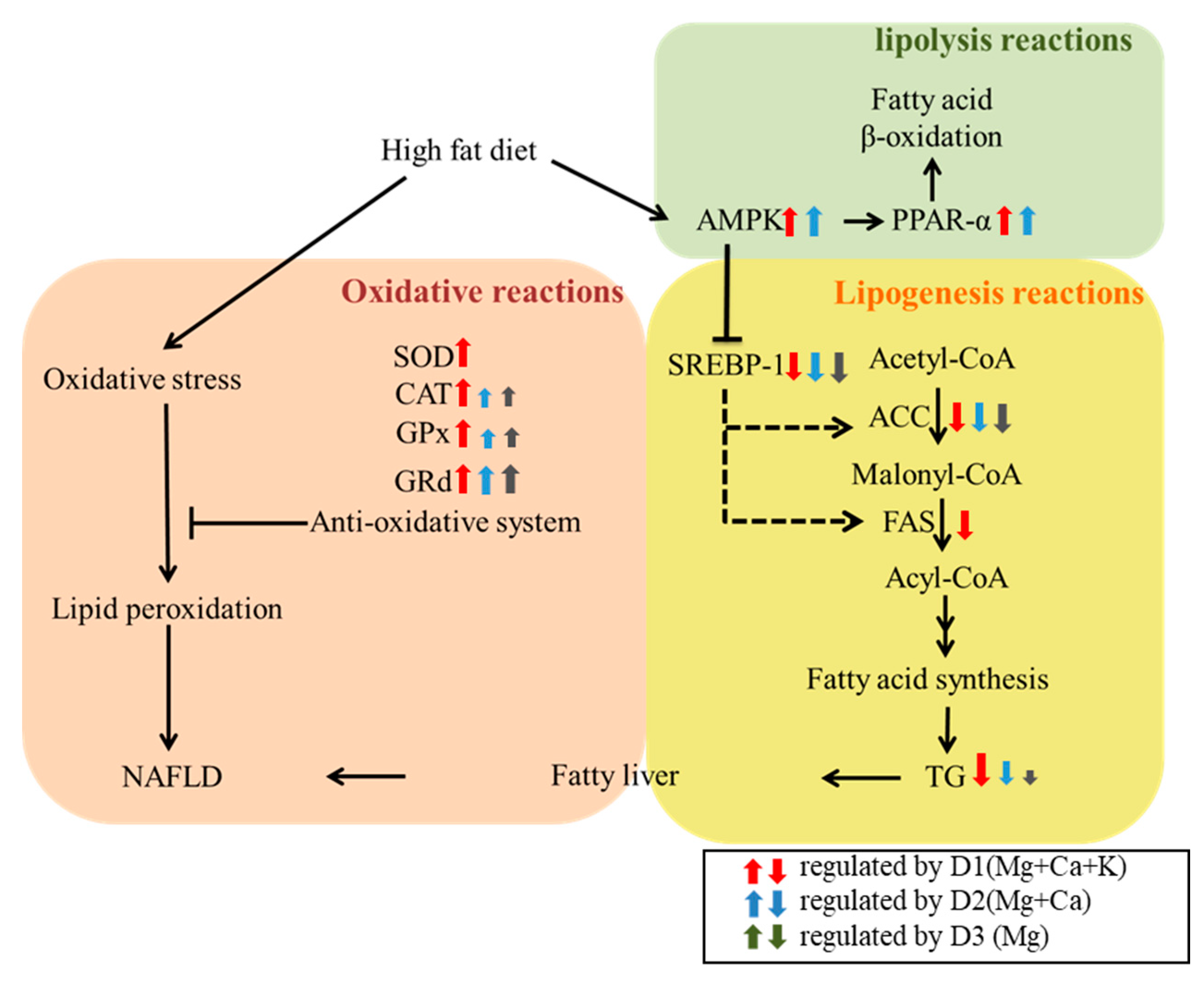Nutrients 13 01732 g006