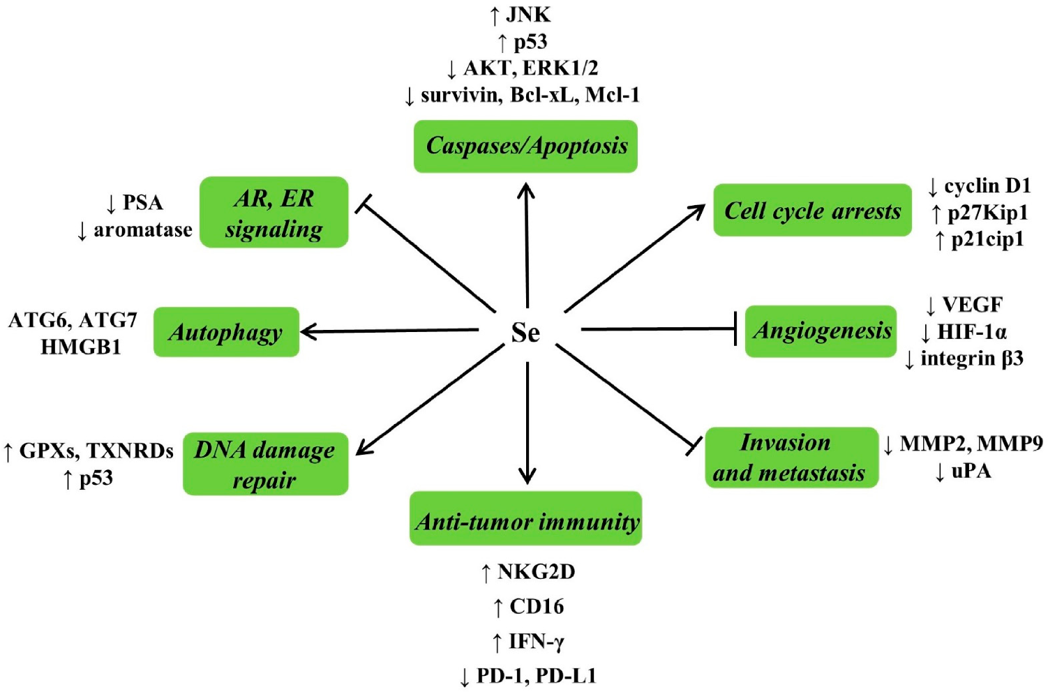 Nutrients 13 01739 g003