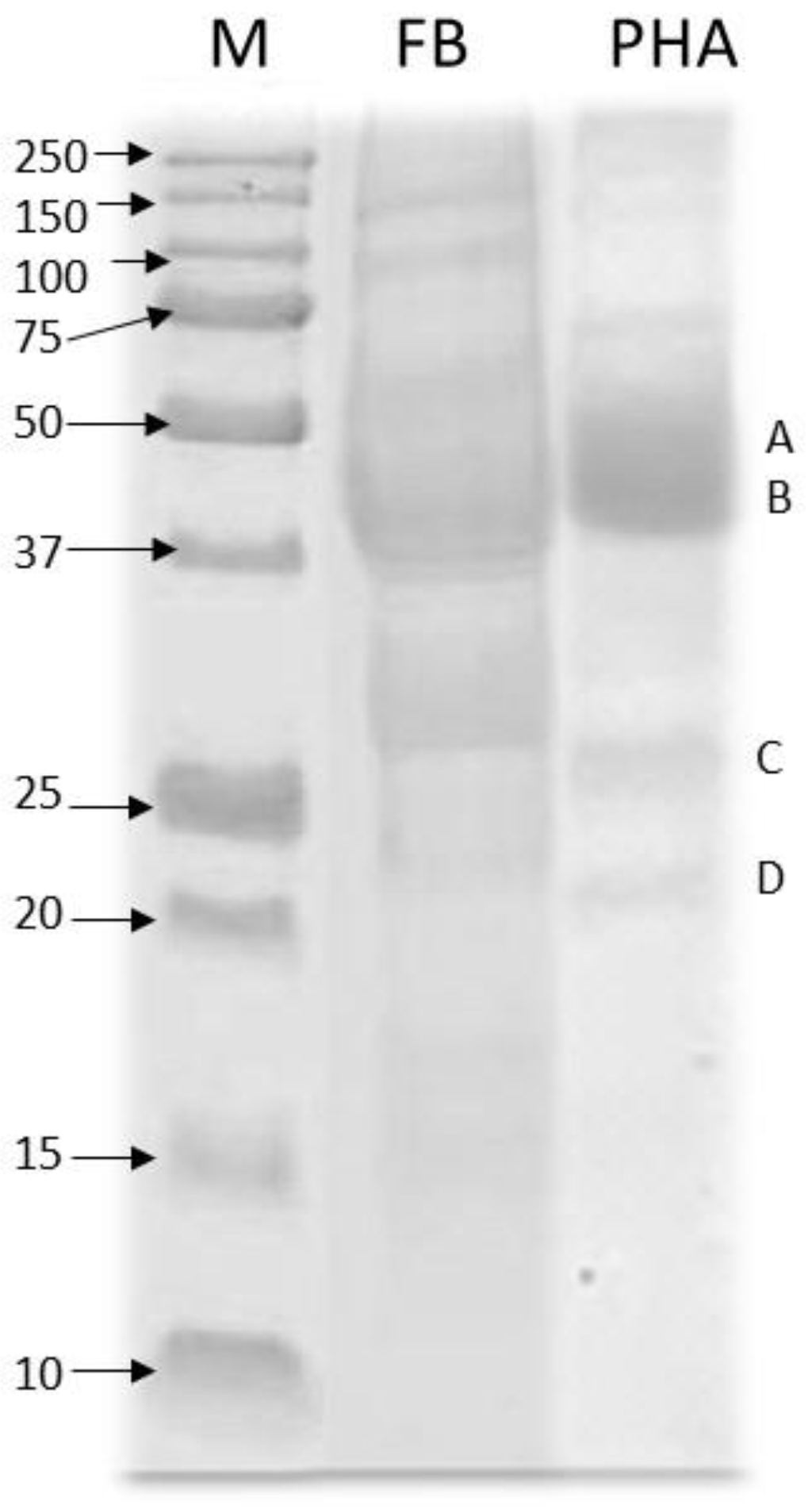 Nutrients 13 01750 g001
