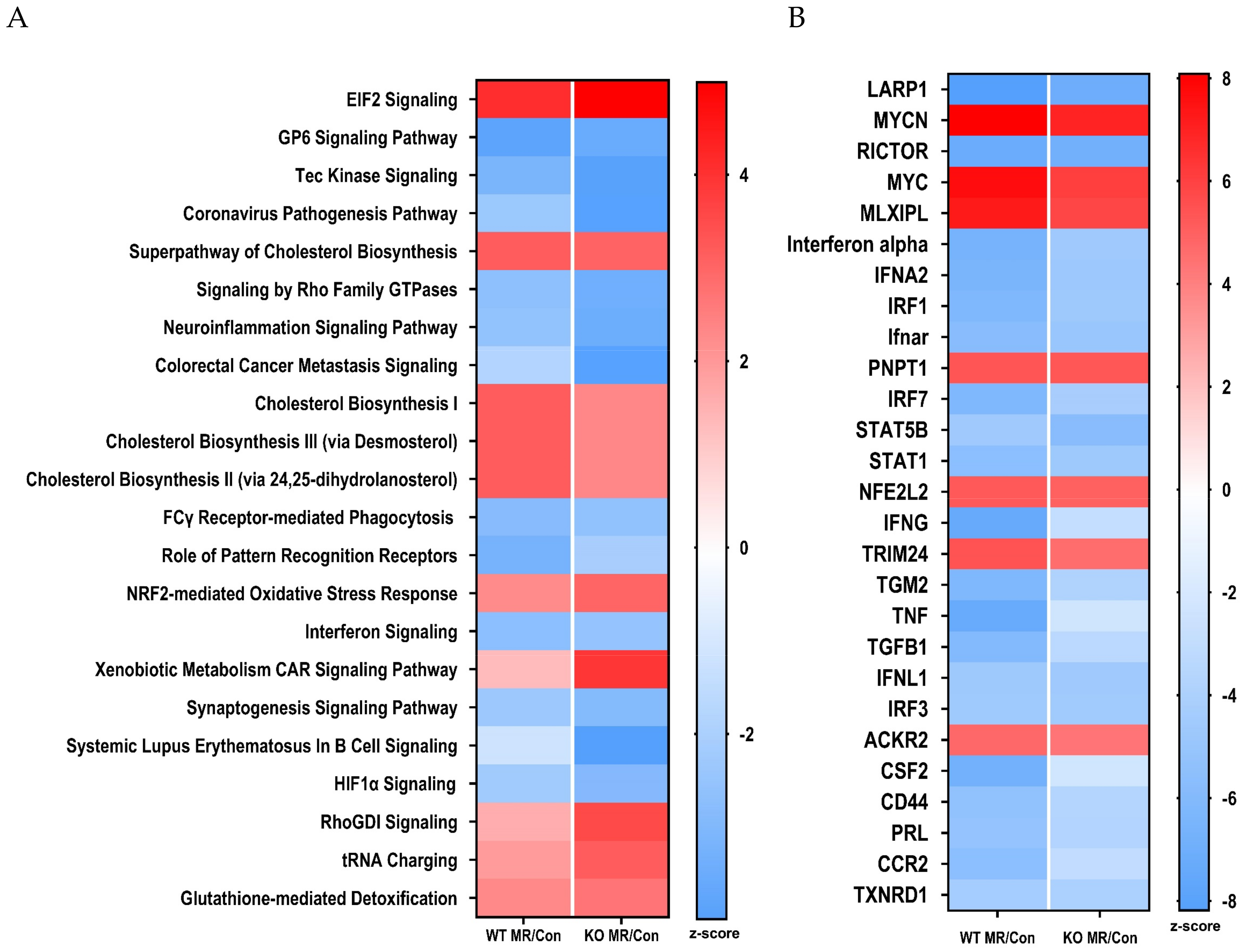 Nutrients 13 01788 g003 Nutrients 13 01788 g003