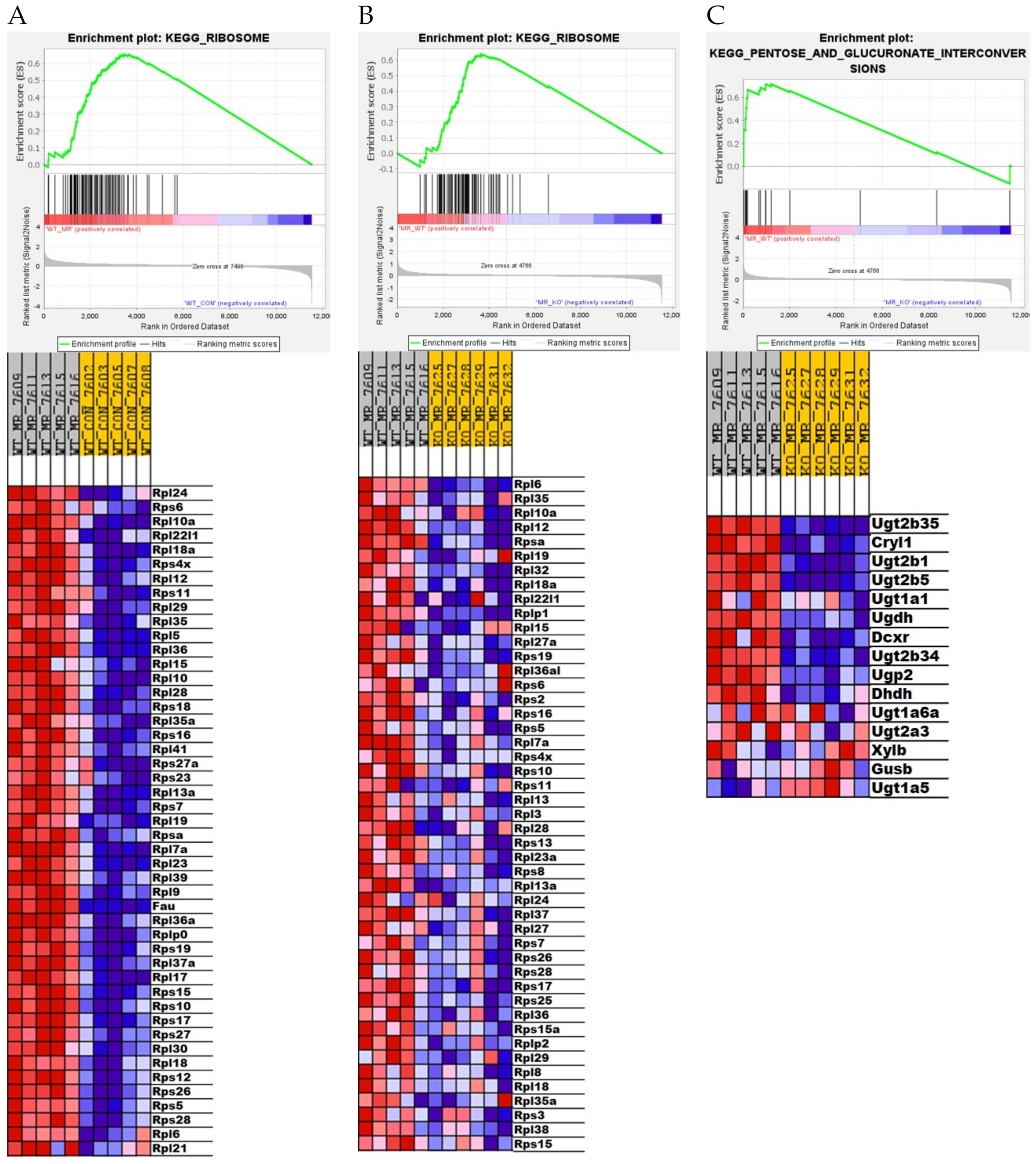 Nutrients 13 01788 g005 Nutrients 13 01788 g005