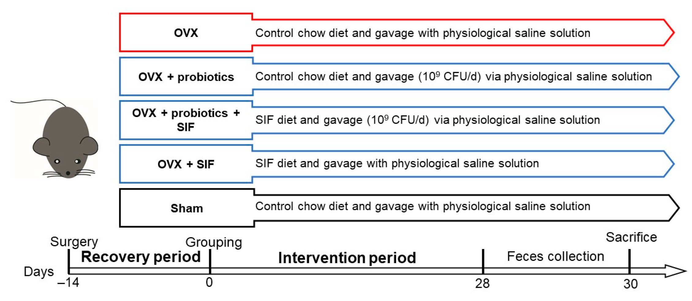Nutrients 13 01793 g001