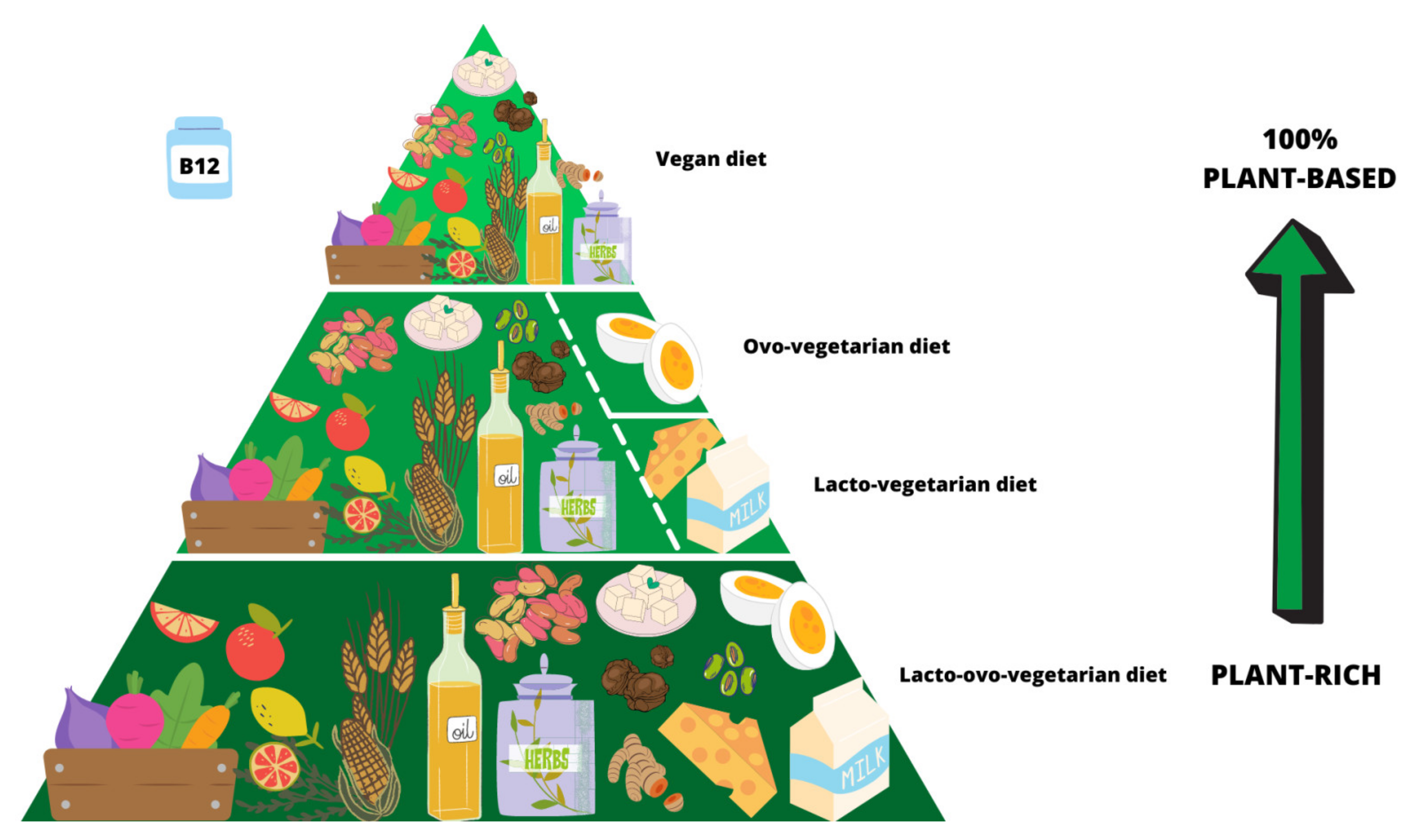 https://www.mdpi.com/nutrients/nutrients-13-01796/article_deploy/html/images/nutrients-13-01796-g001.png