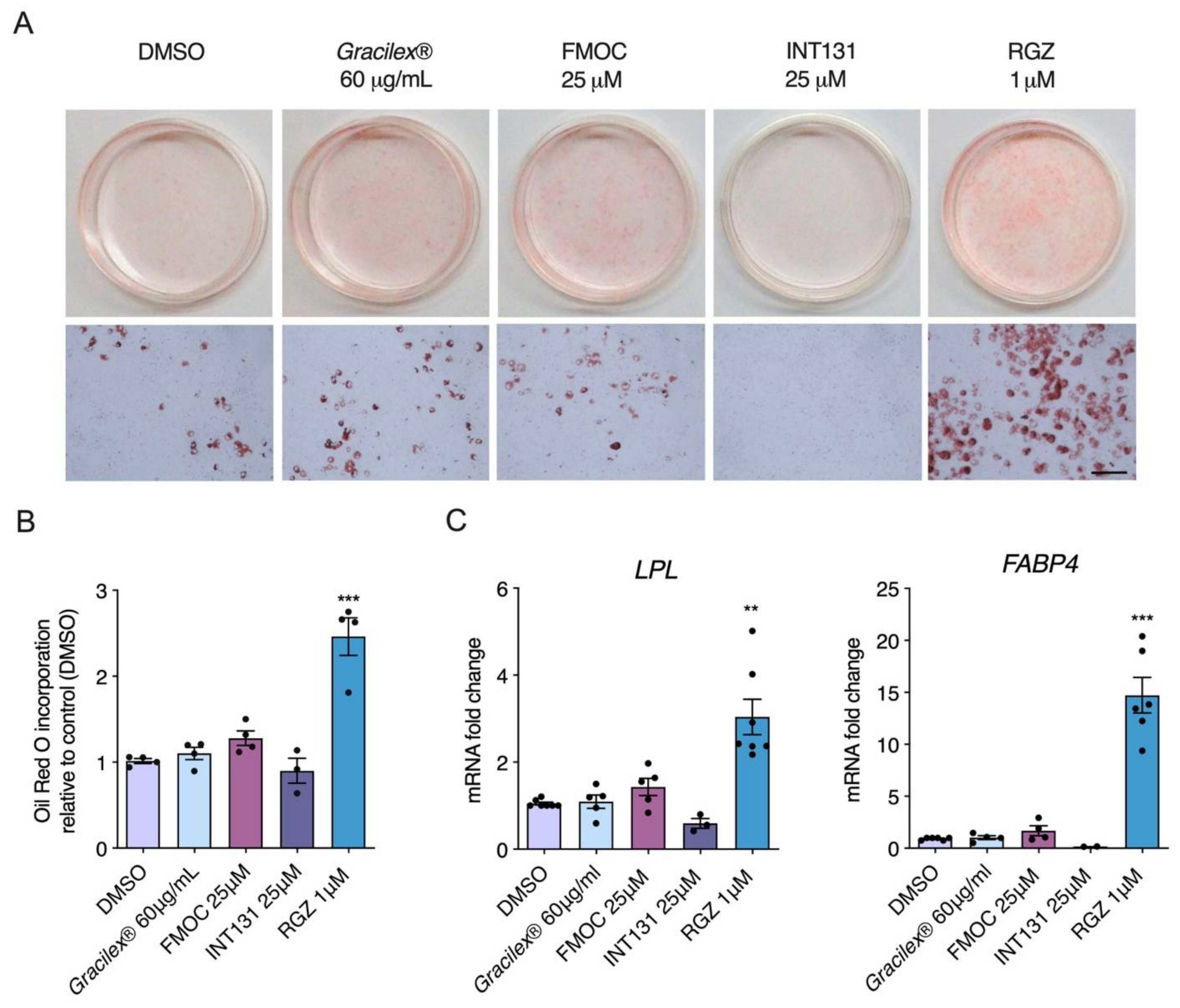 Nutrients 13 01828 g002 Nutrients 13 01828 g002