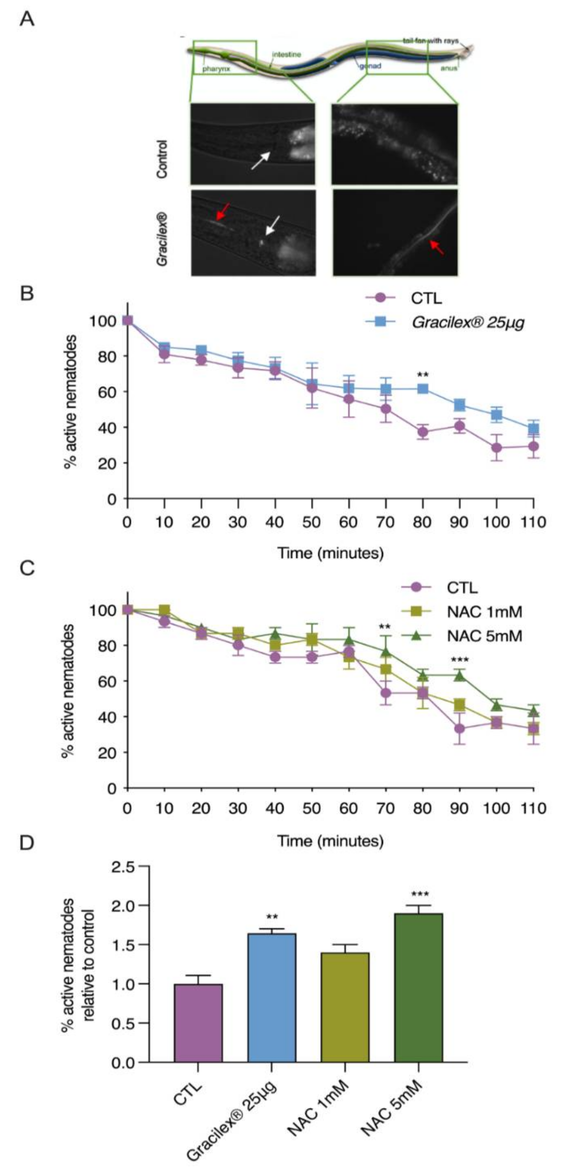 Nutrients 13 01828 g005 Nutrients 13 01828 g005