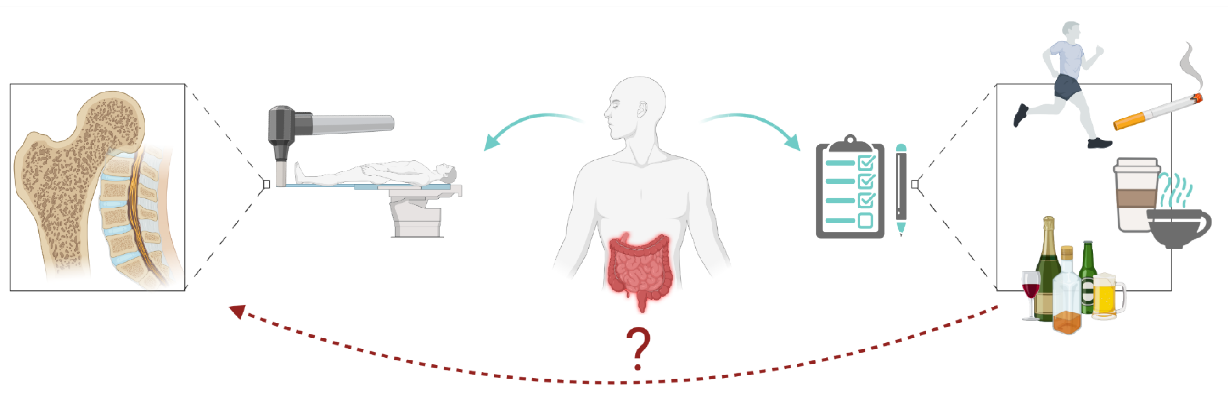 Nutrients 13 01863 g002 Nutrients 13 01863 g002