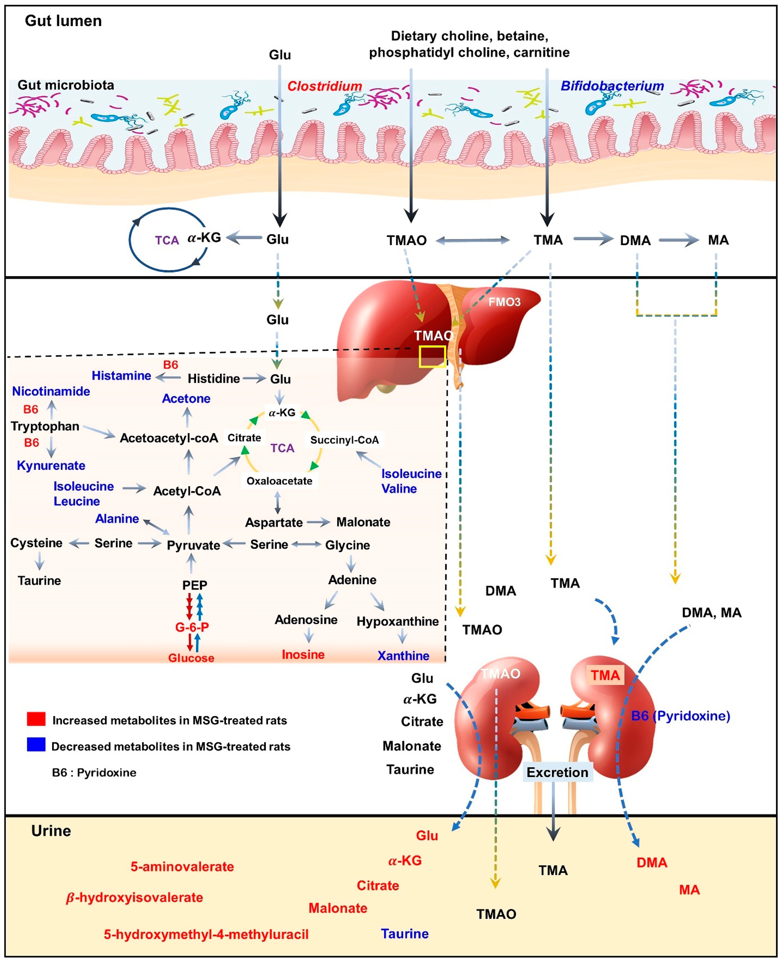 Nutrients 13 01865 g006 Nutrients 13 01865 g006