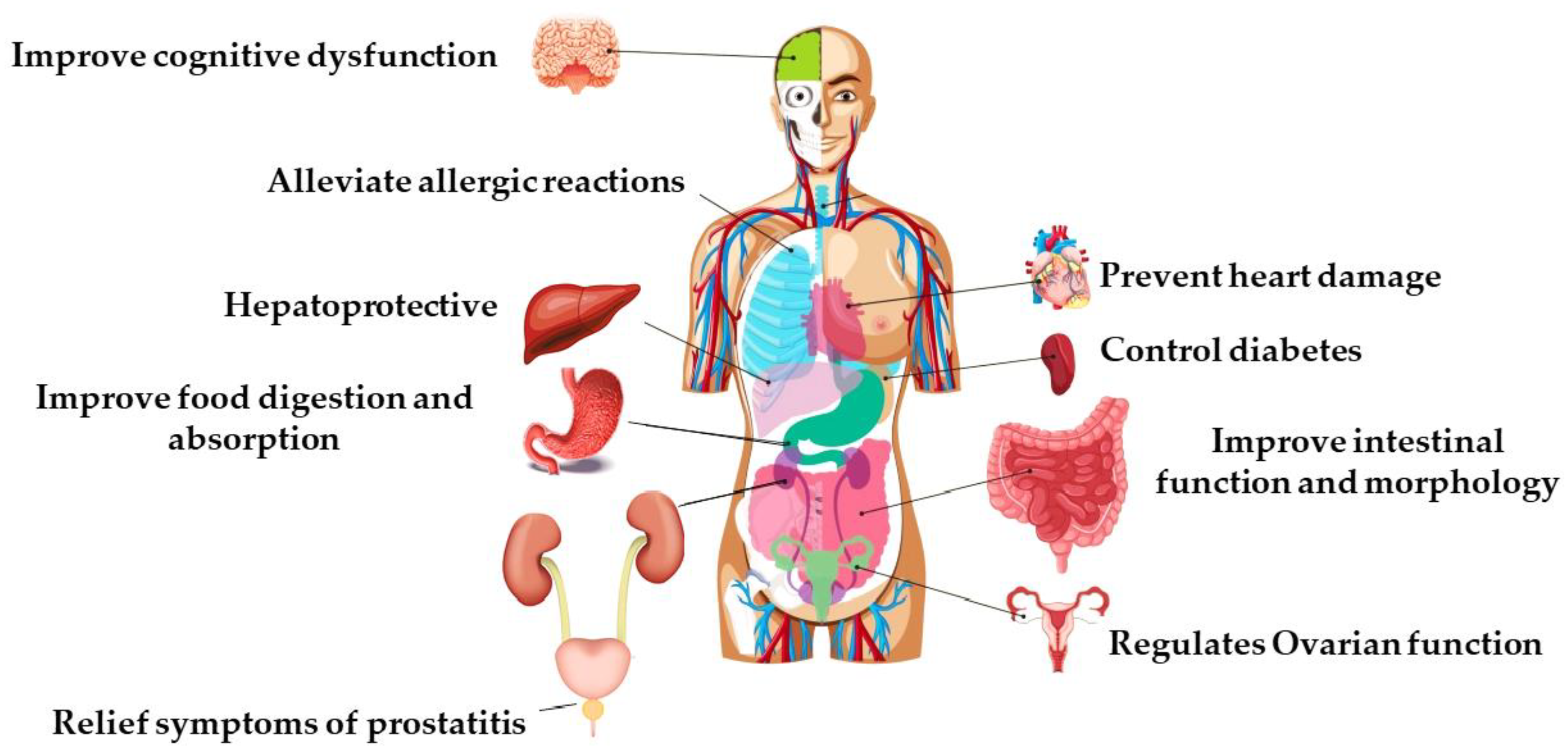 propolis prostatitis vélemények