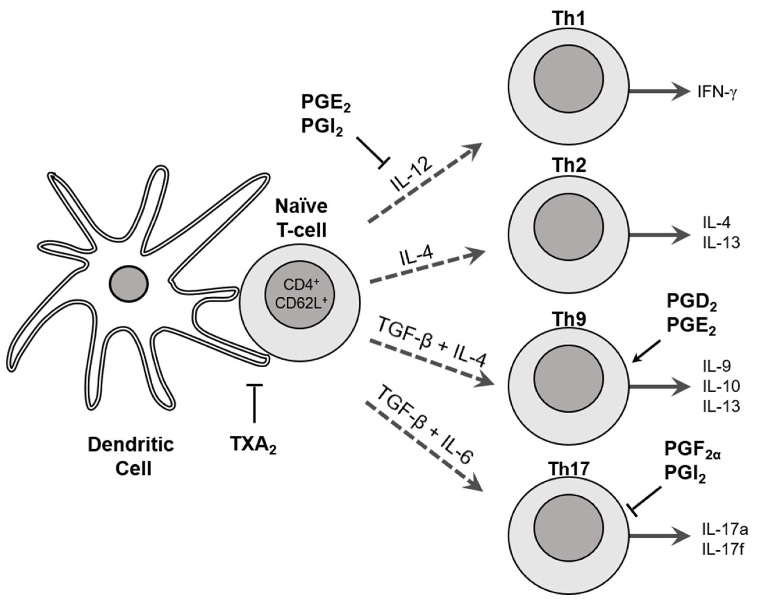 Nutrients 13 01881 g001