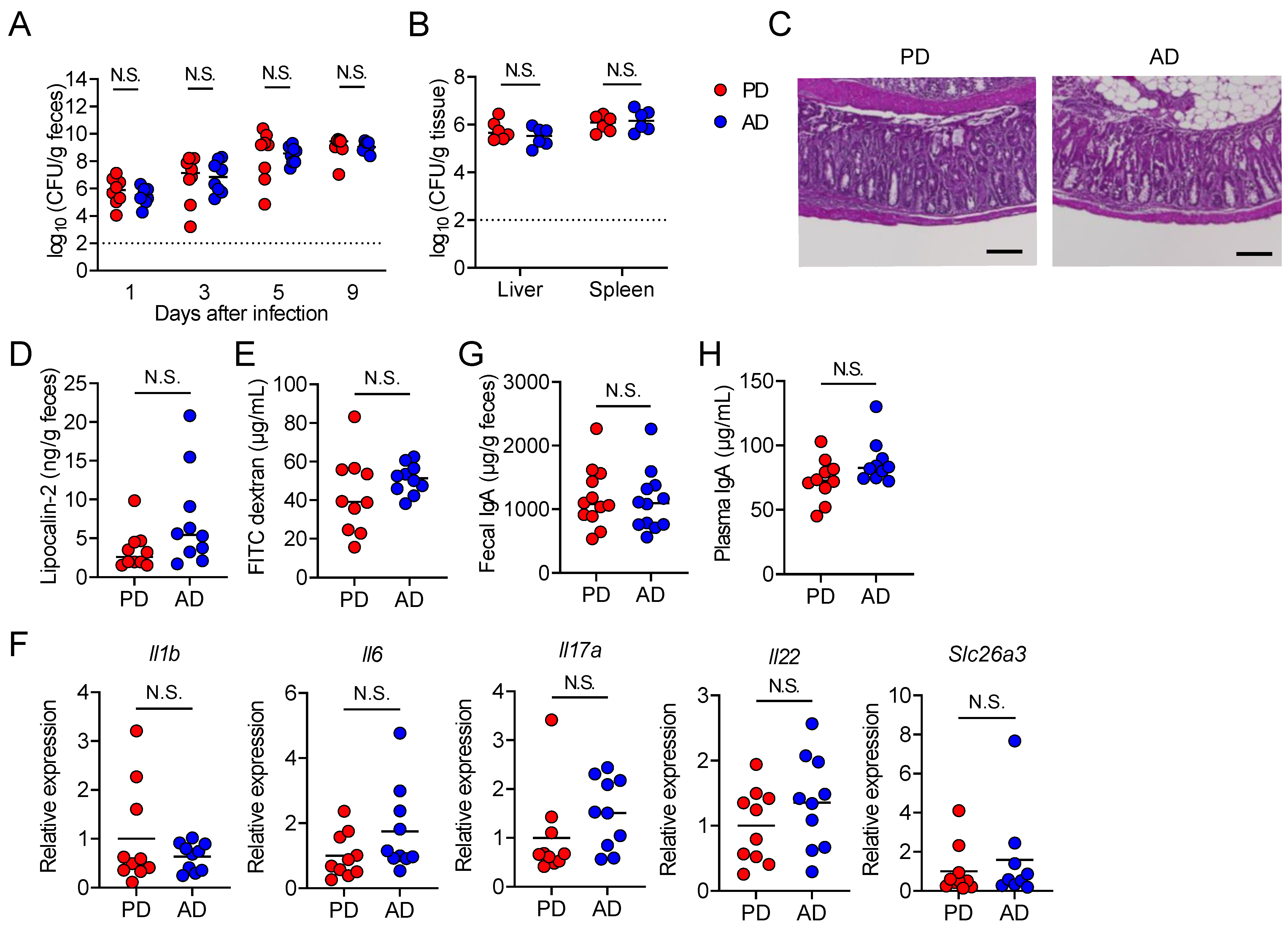 Nutrients 13 01896 g002 Nutrients 13 01896 g002