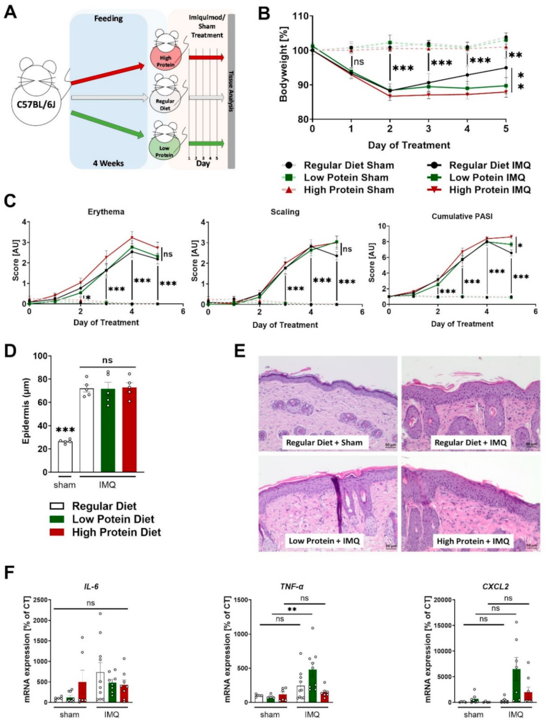 Nutrients 13 01897 g002 Nutrients 13 01897 g002