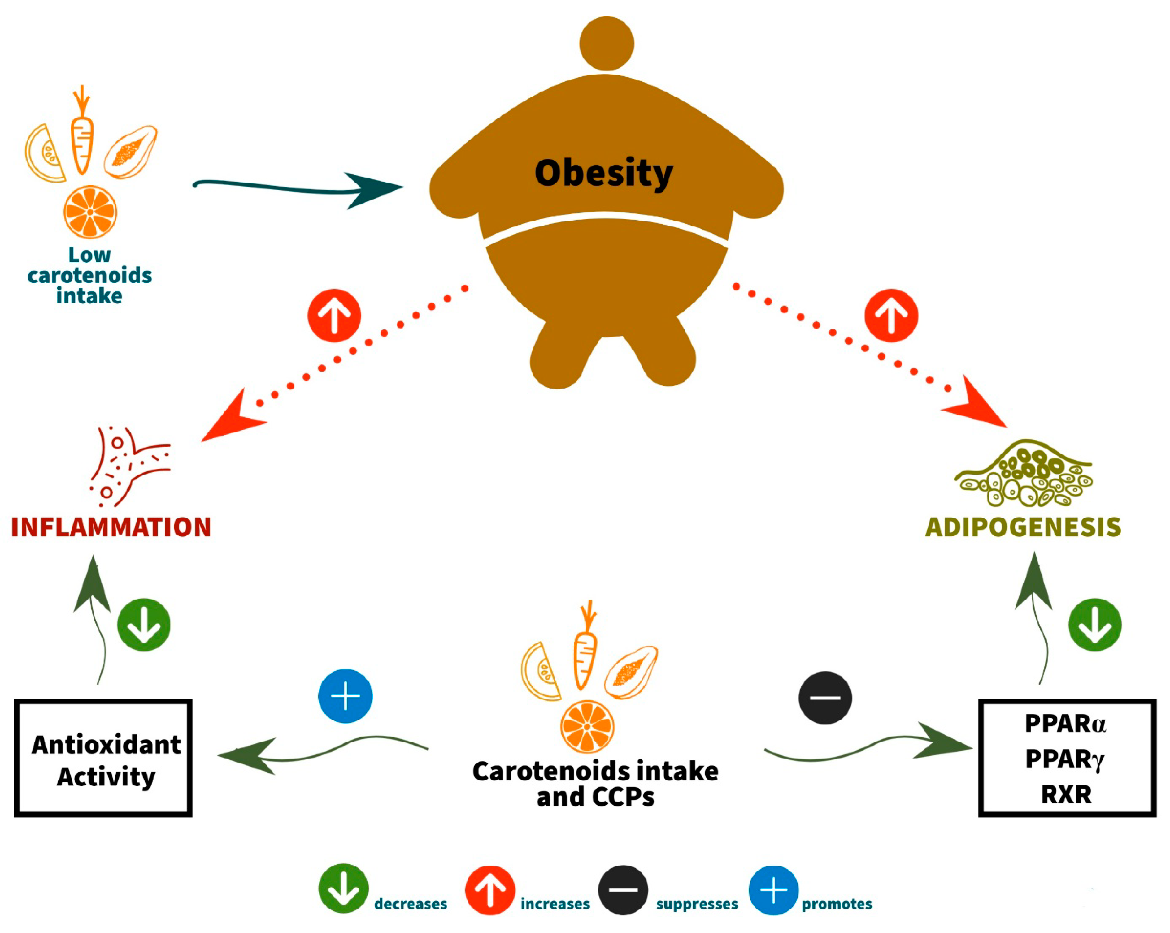 Nutrients 13 01921 g001