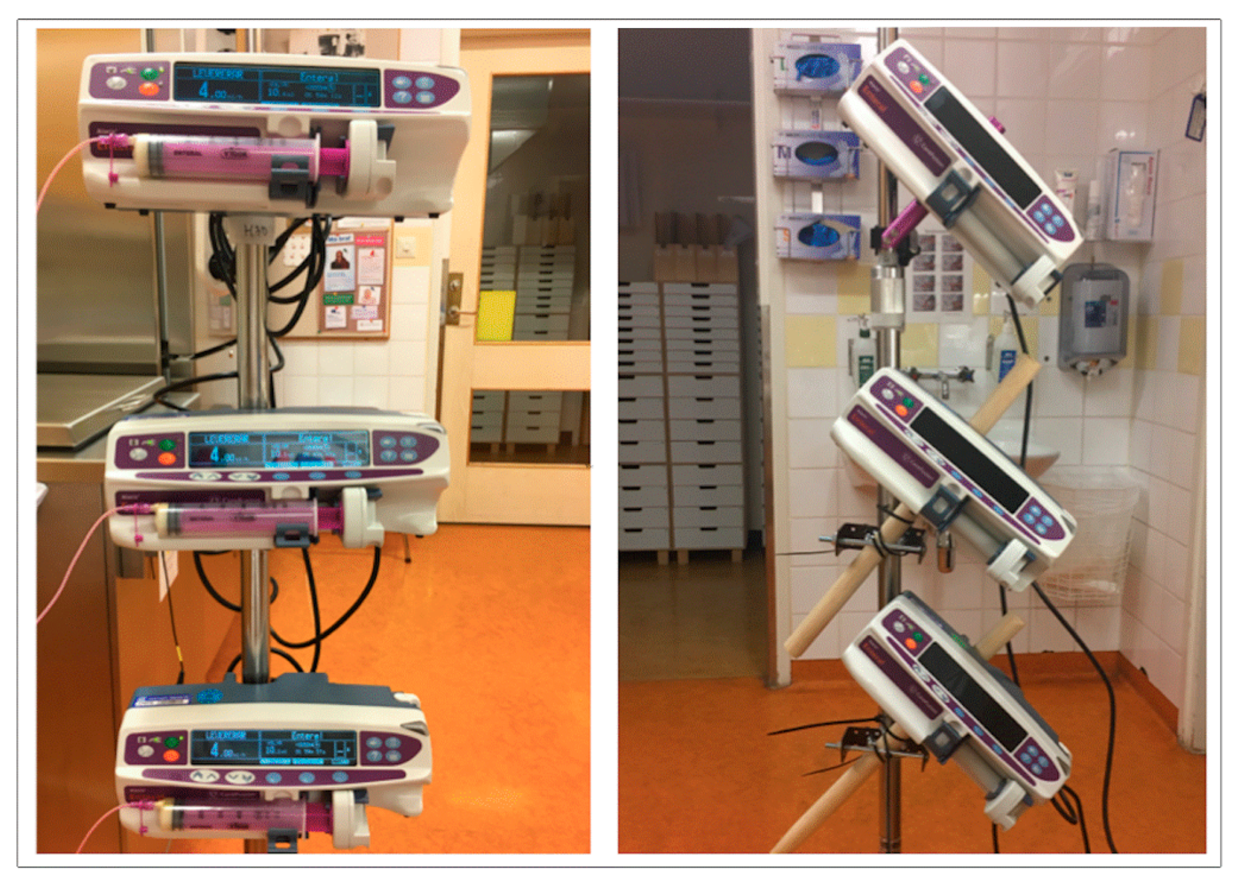 Nutrients 13 01939 g001