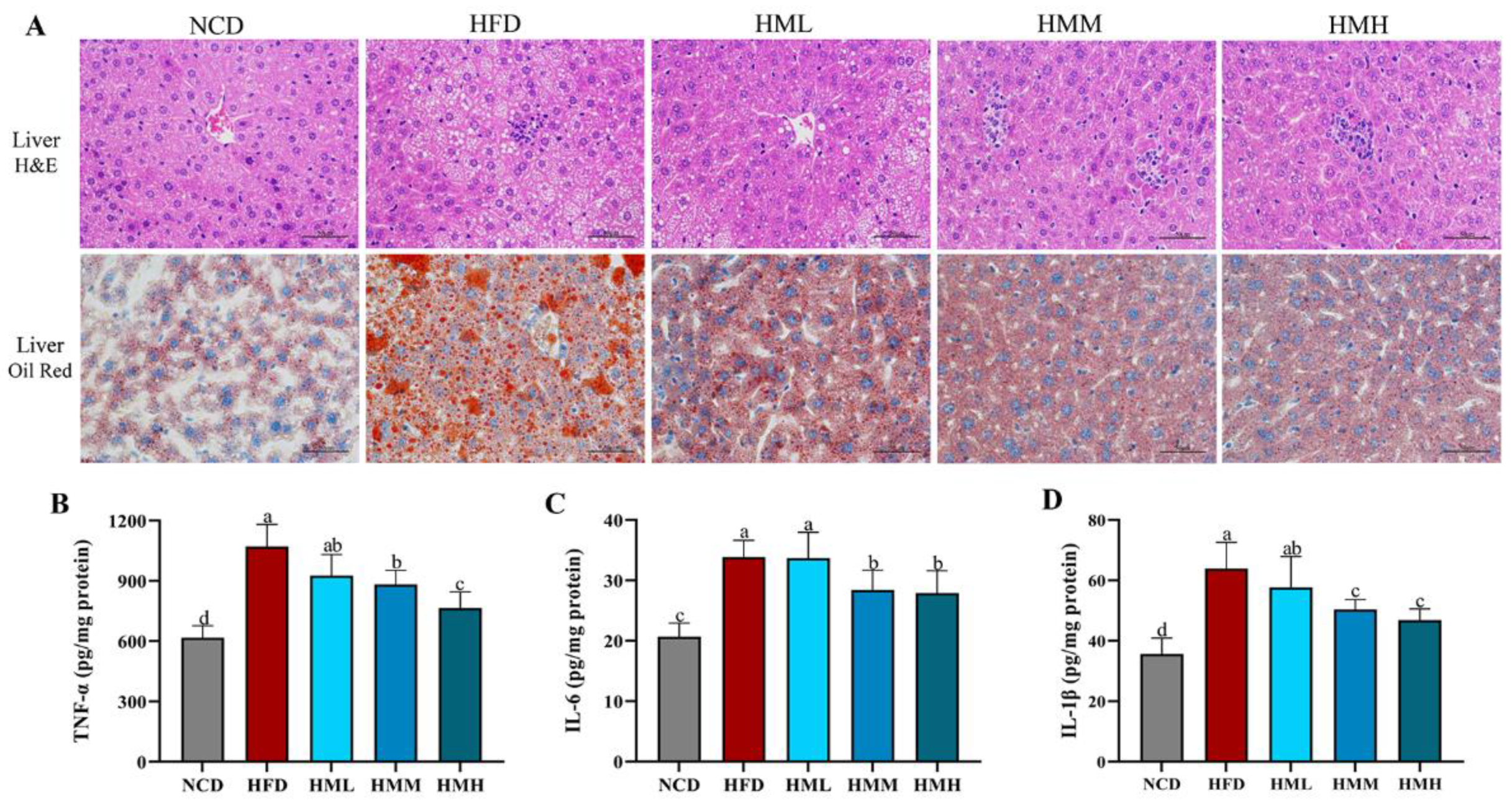 Nutrients 13 01950 g003 Nutrients 13 01950 g003