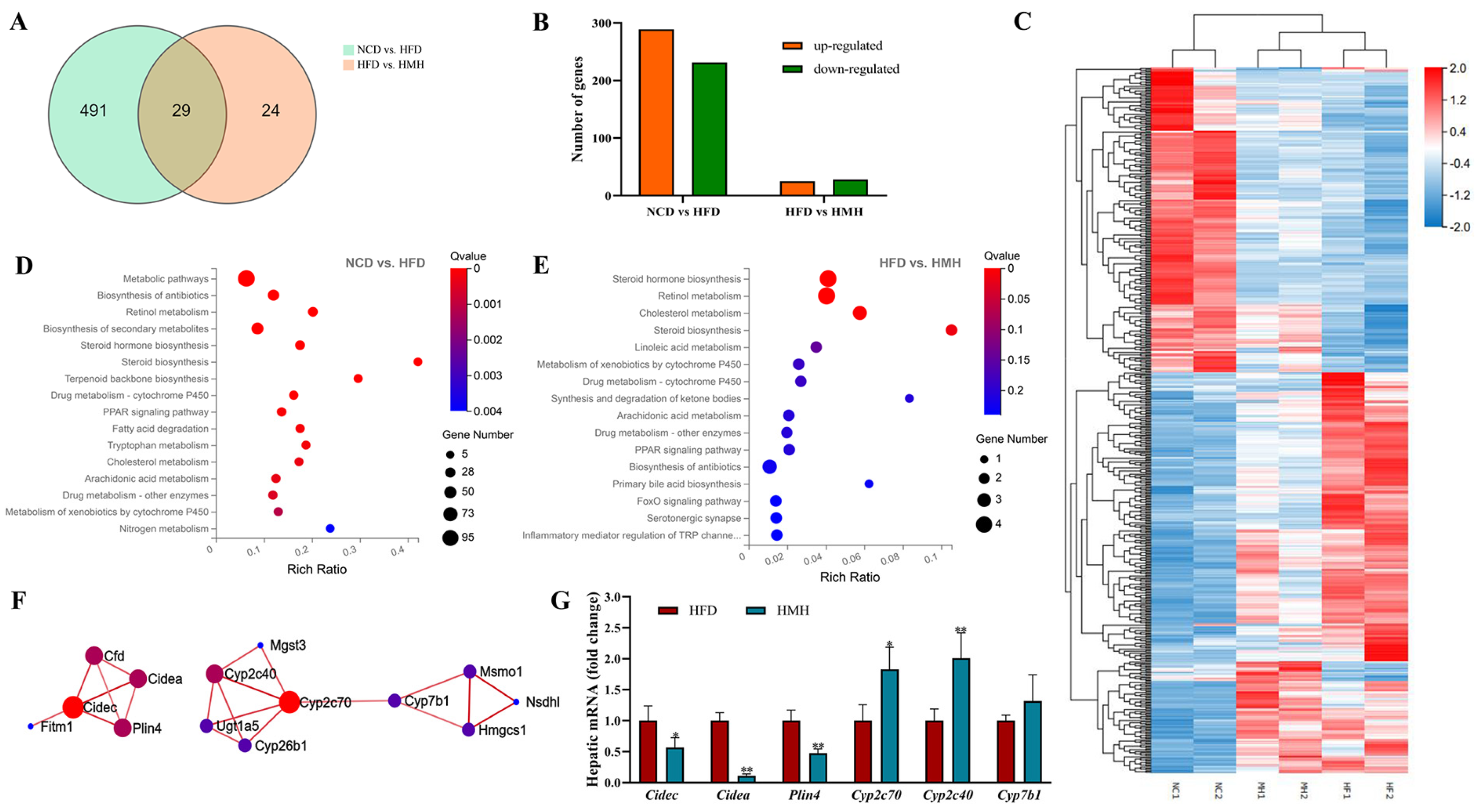 Nutrients 13 01950 g004 Nutrients 13 01950 g004