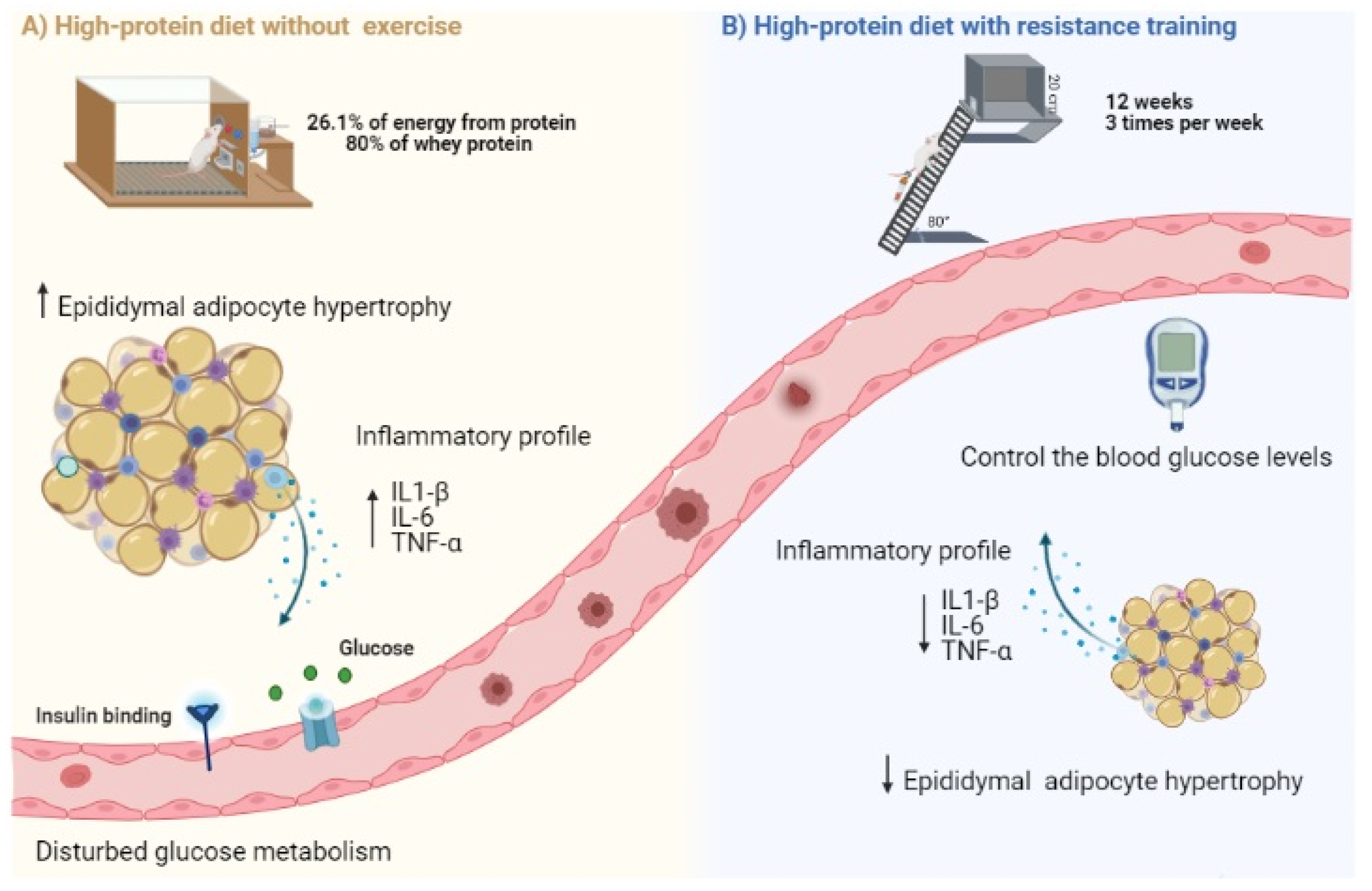 Nutrients 13 01969 g005 Nutrients 13 01969 g005