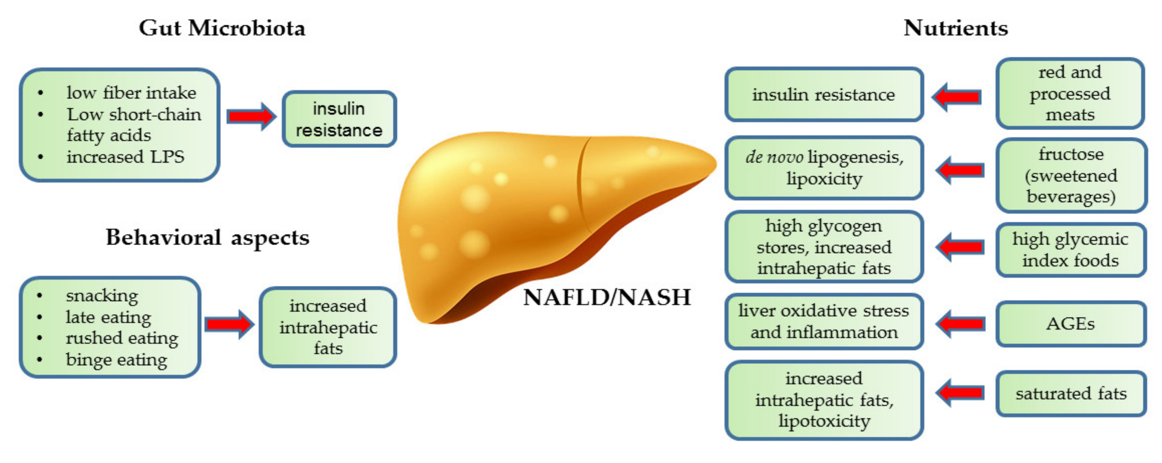 Fatty Liver Disease