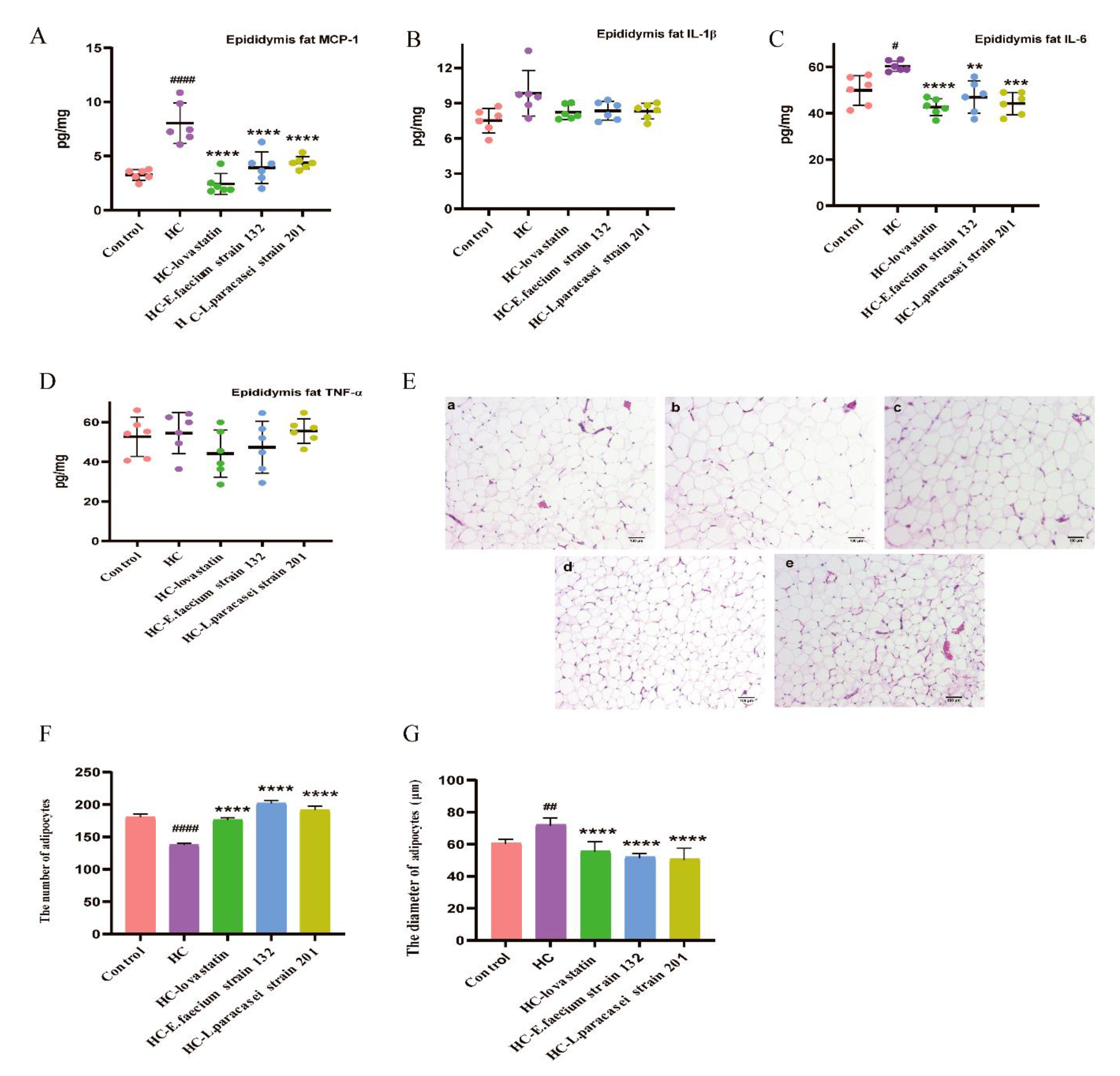 Nutrients 13 01982 g003 Nutrients 13 01982 g003