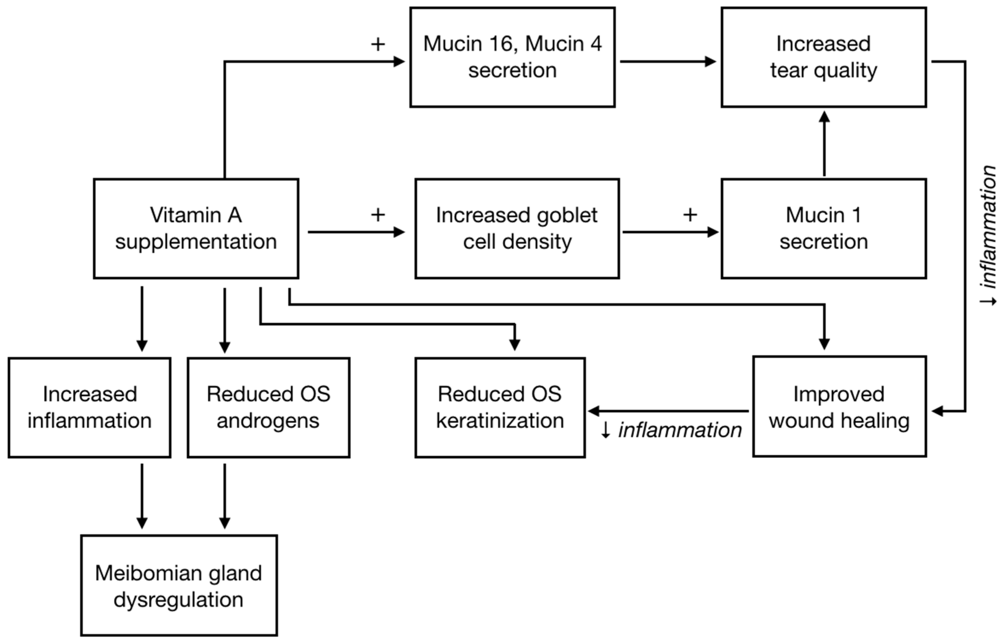 Nutrients 13 01998 g001 Nutrients 13 01998 g001