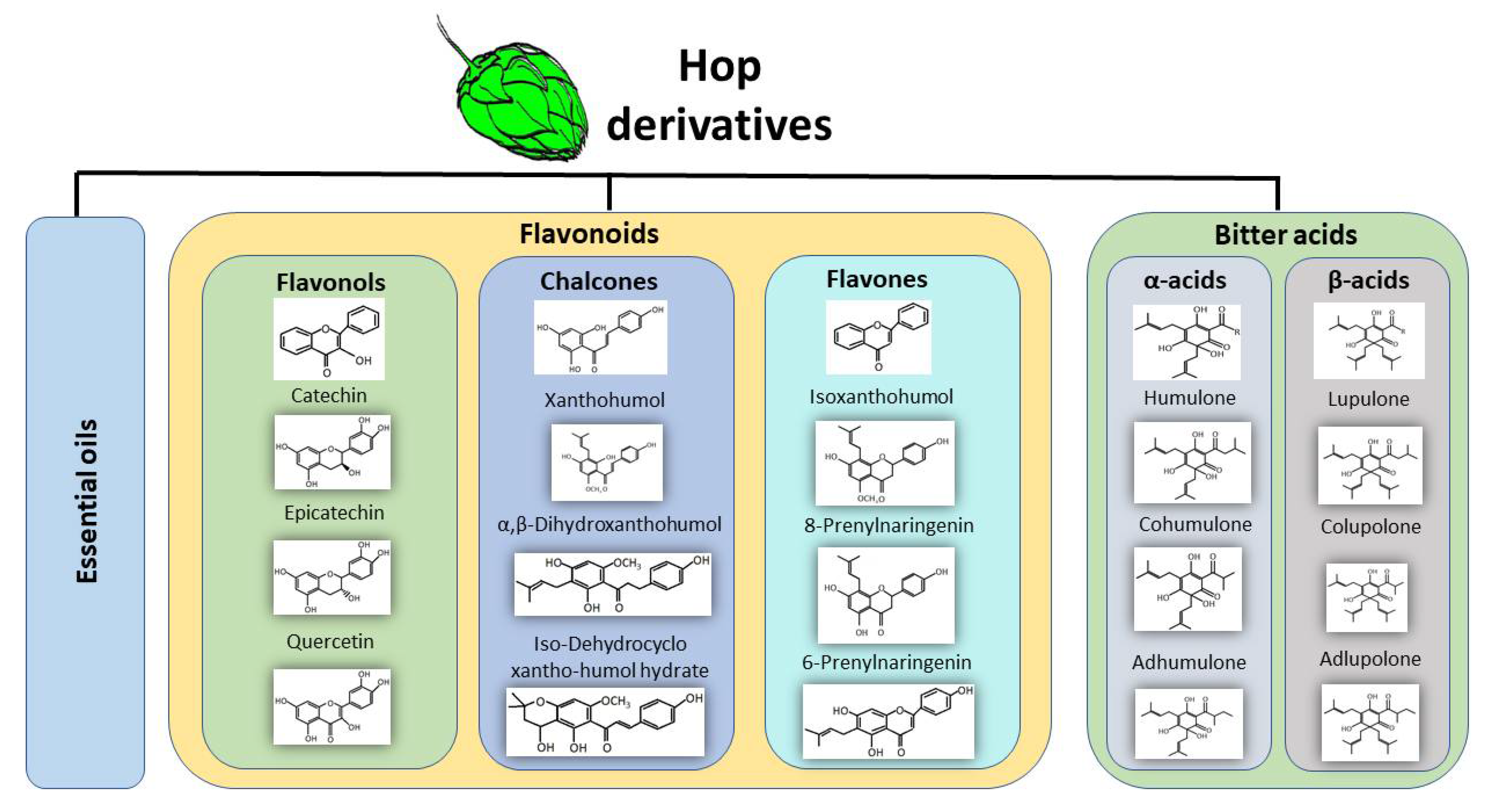 Nutrients 13 02000 g001 Nutrients 13 02000 g001