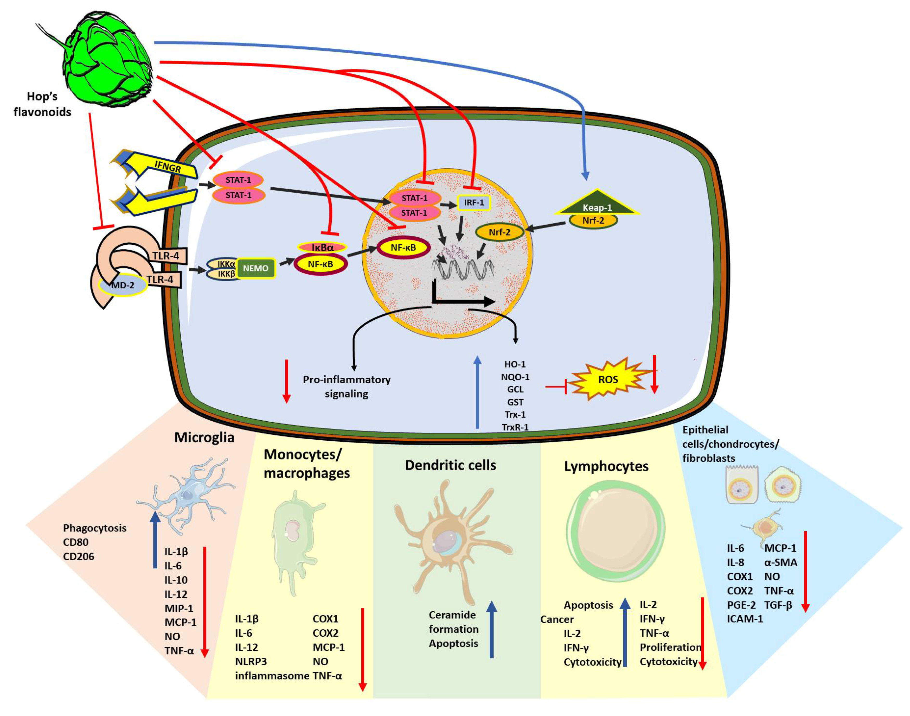 Nutrients 13 02000 g002 Nutrients 13 02000 g002