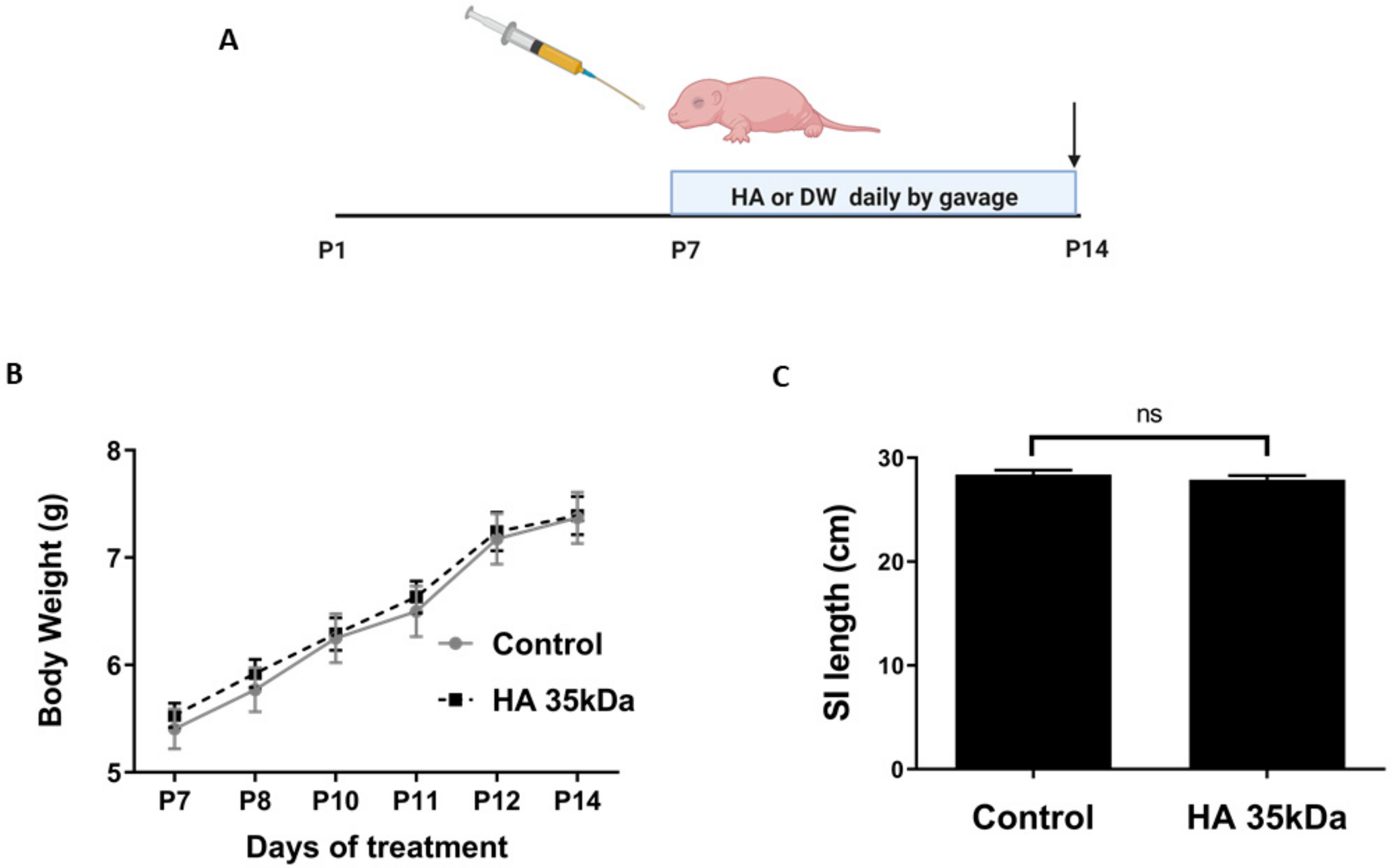 Nutrients 13 02030 g001