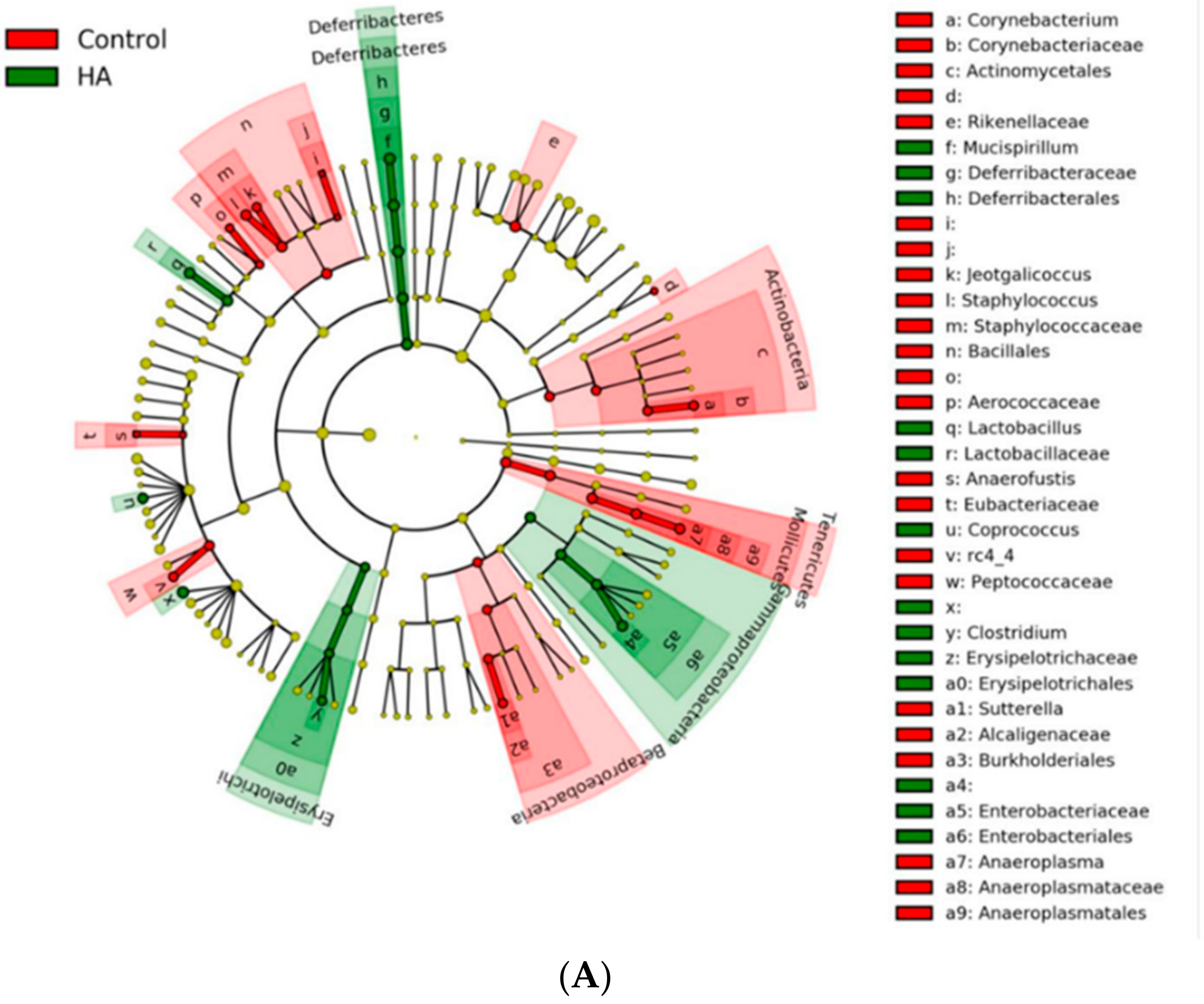 Nutrients 13 02030 g005a