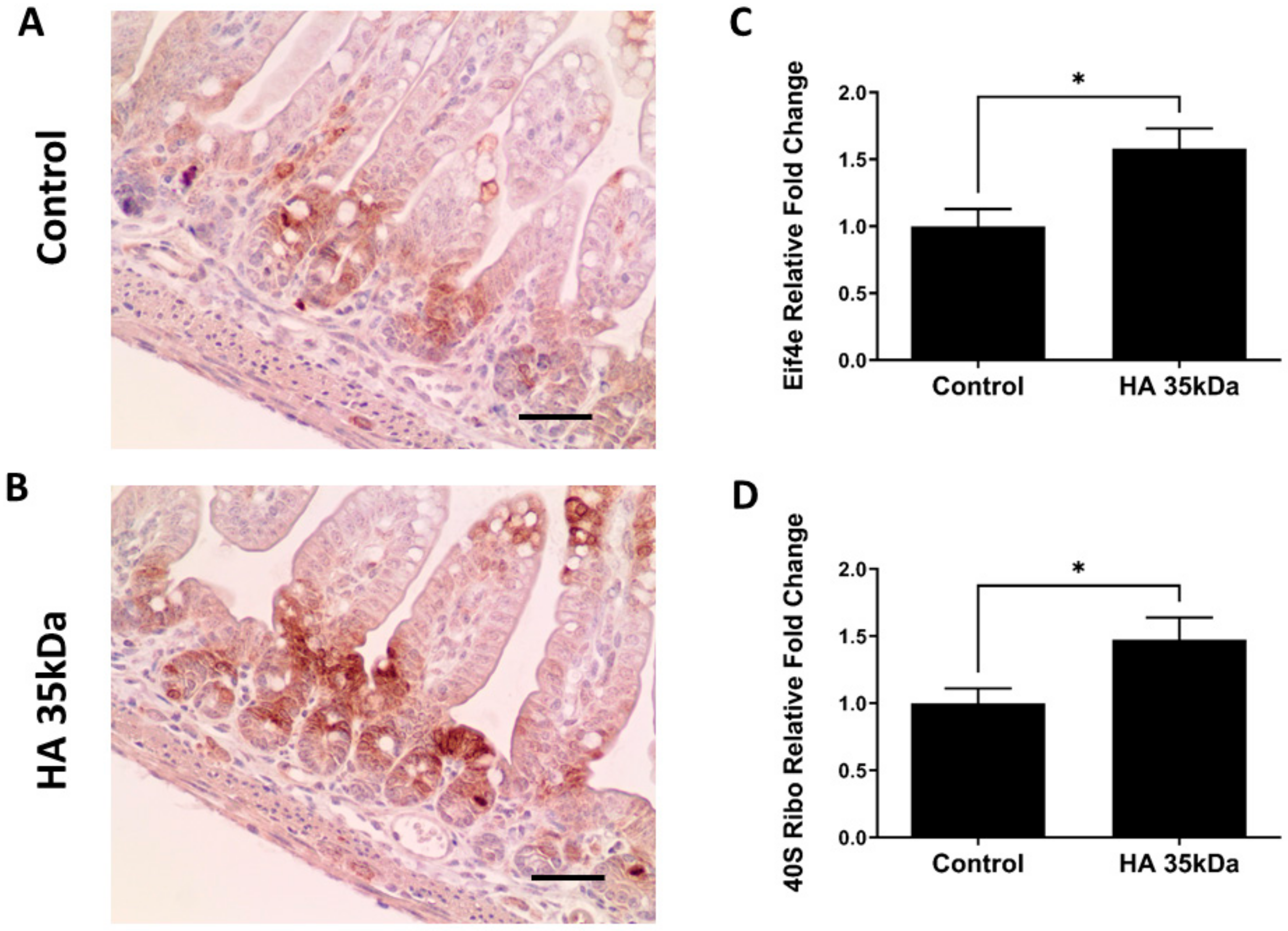 Nutrients 13 02030 g009