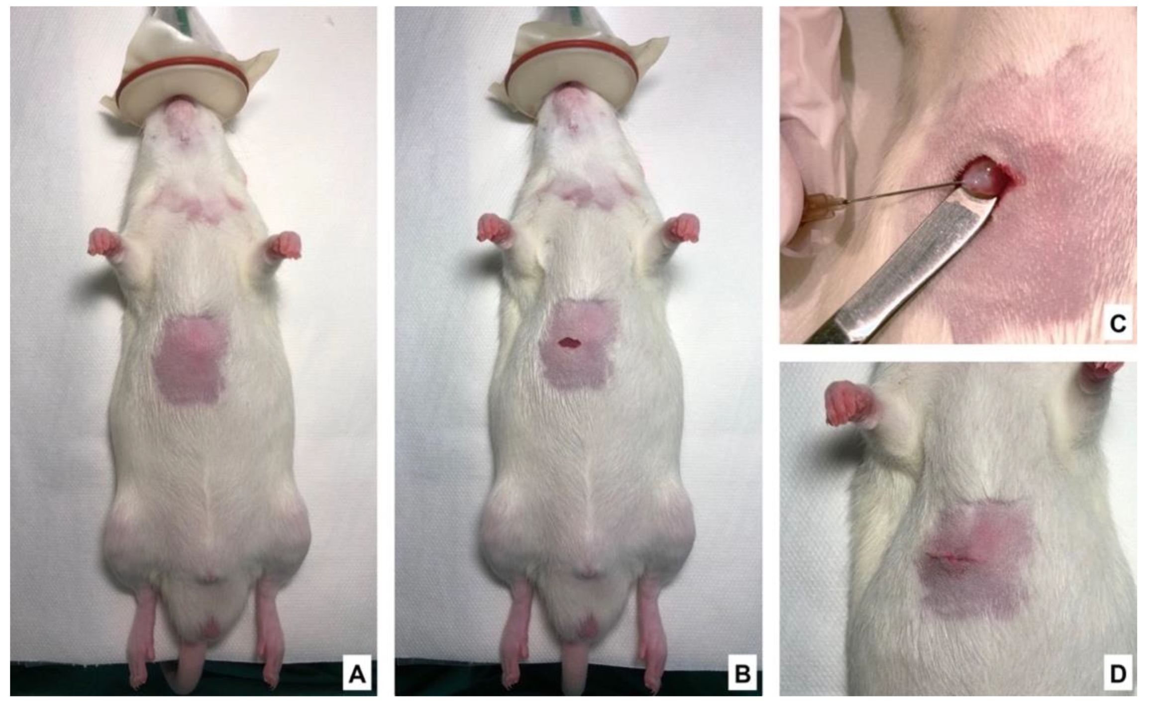 Nutrients 13 02035 g002 Nutrients 13 02035 g002