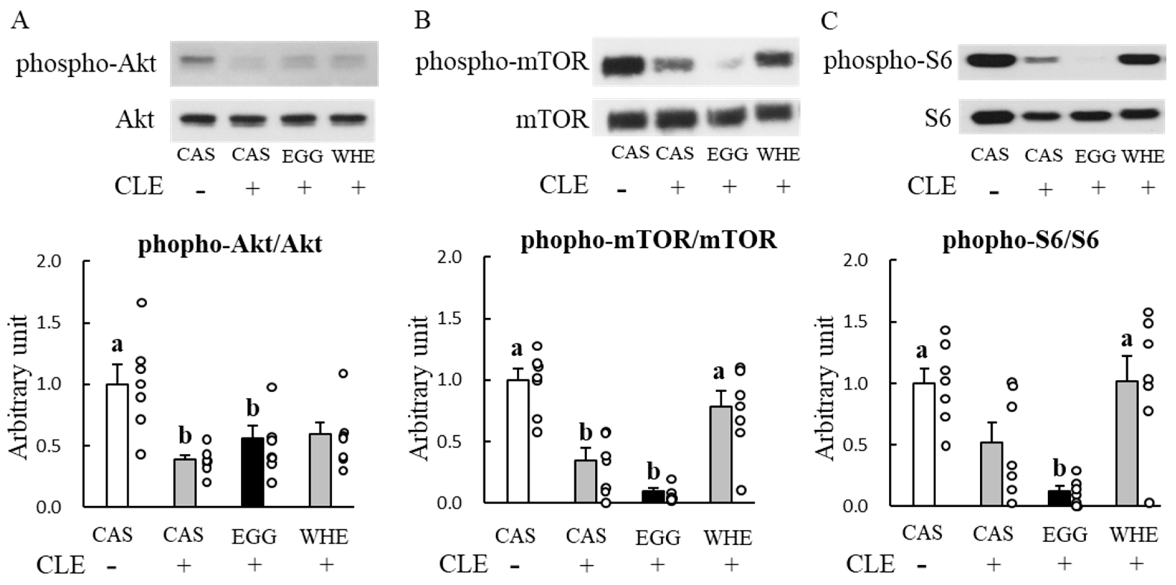 Nutrients 13 02042 g013