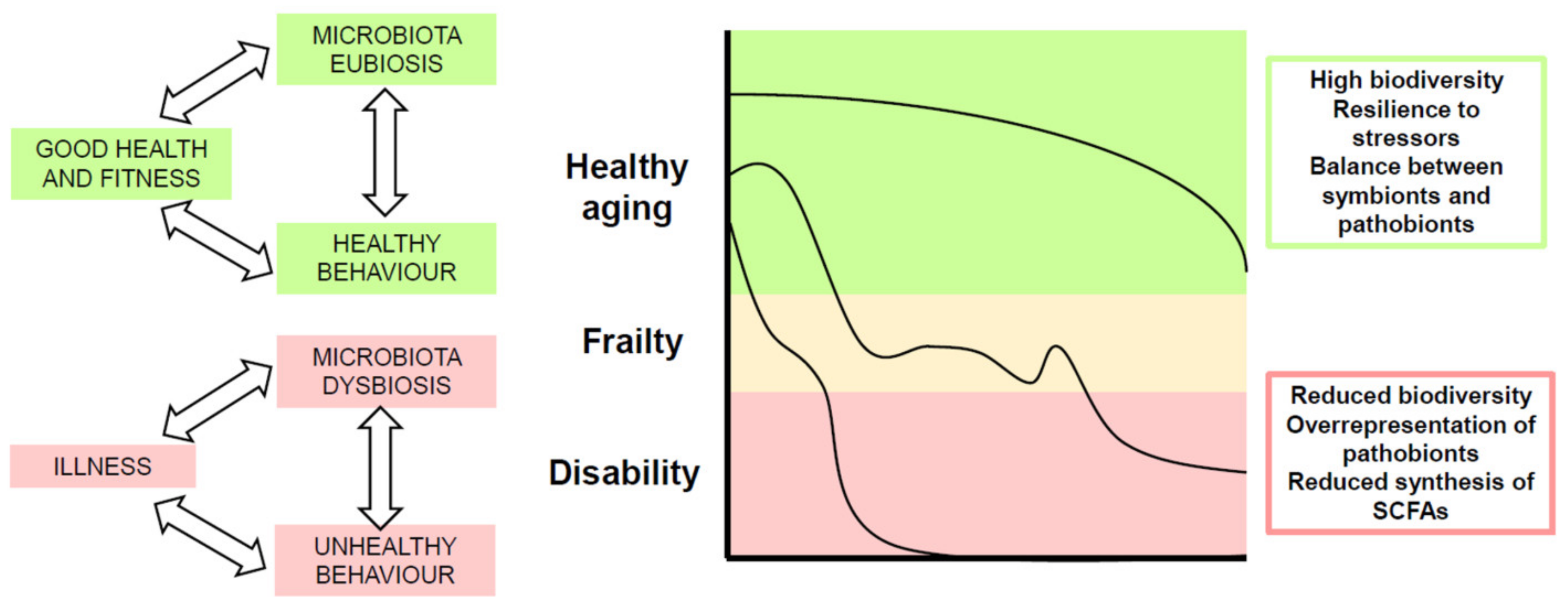 egli fischer svájc anti aging