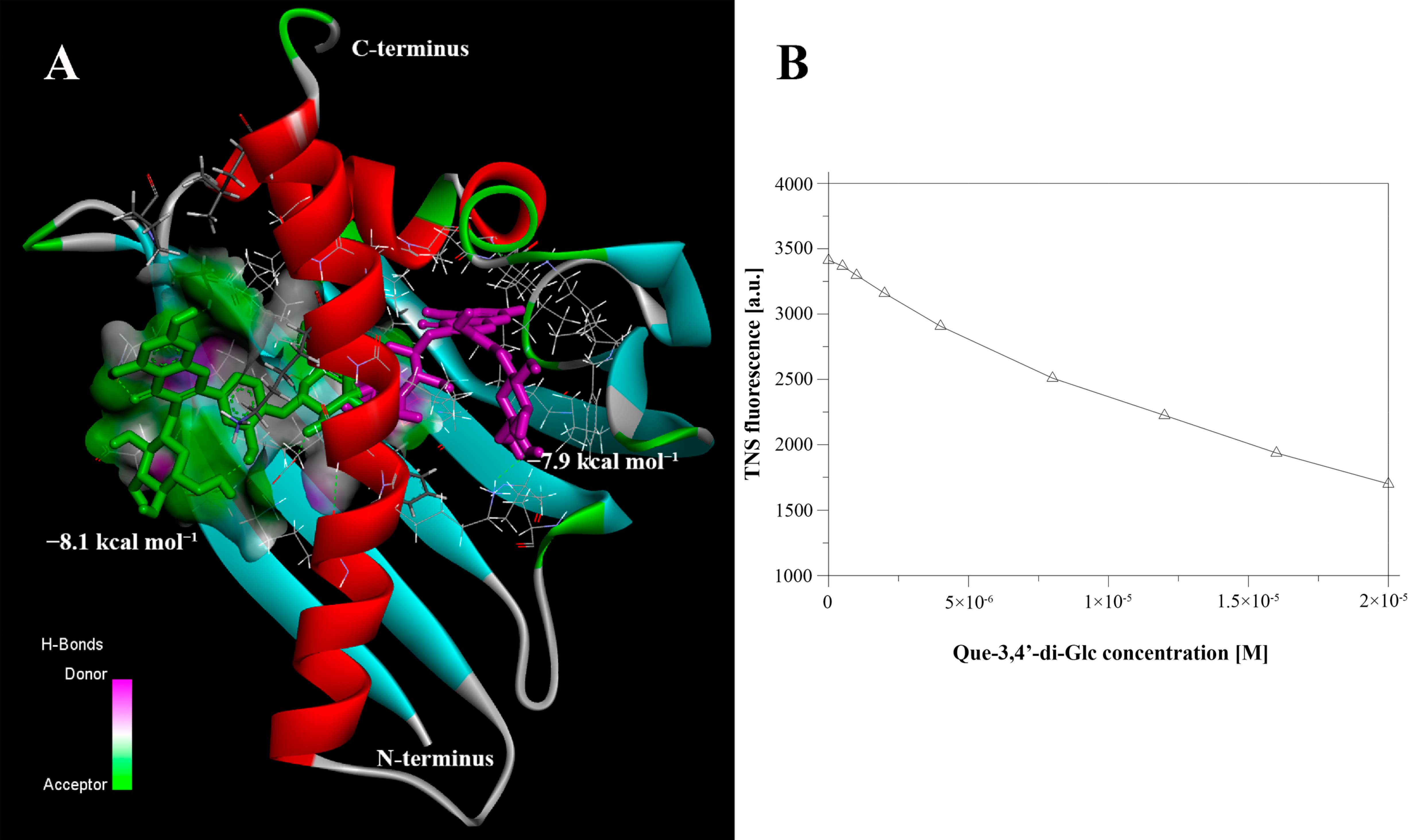 Nutrients 13 02058 g001