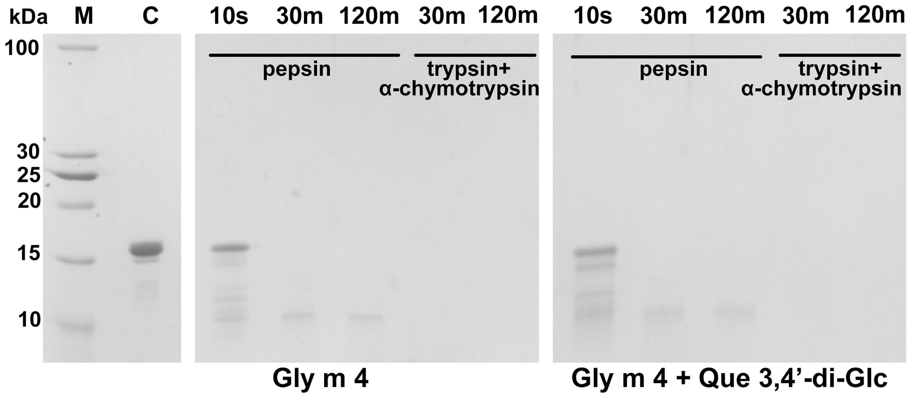 Nutrients 13 02058 g003