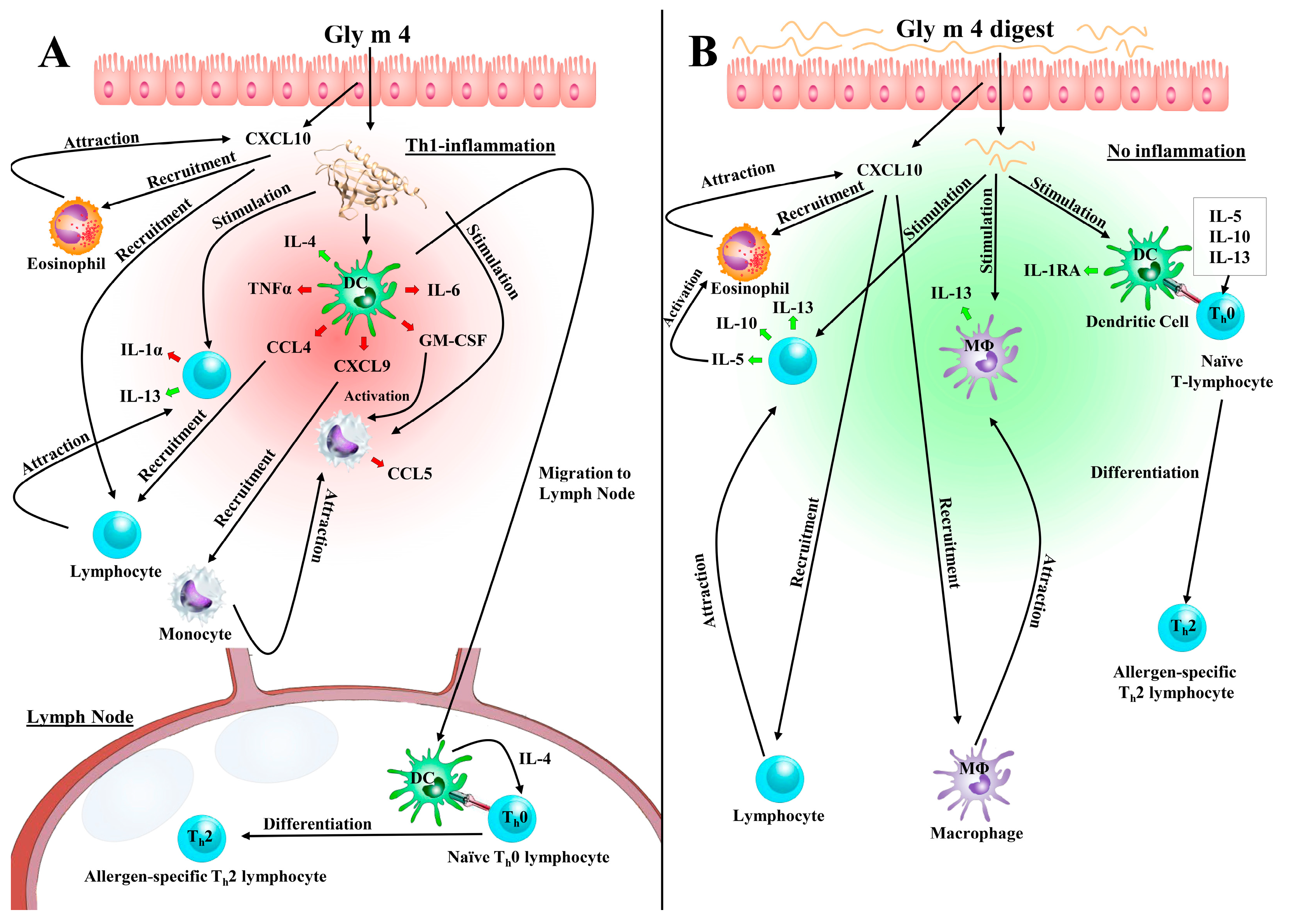 Nutrients 13 02058 g009