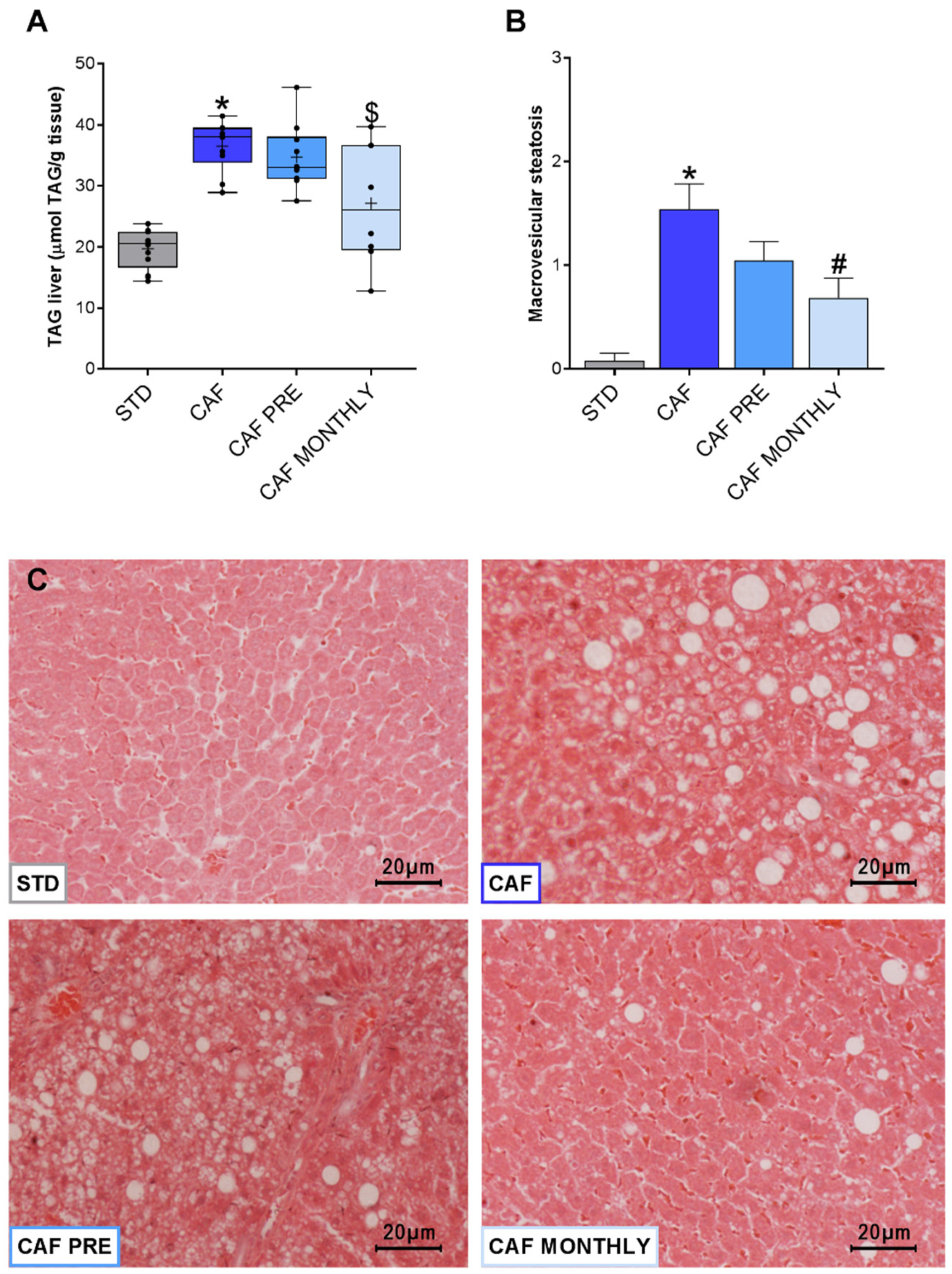 Nutrients 13 02059 g006 Nutrients 13 02059 g006